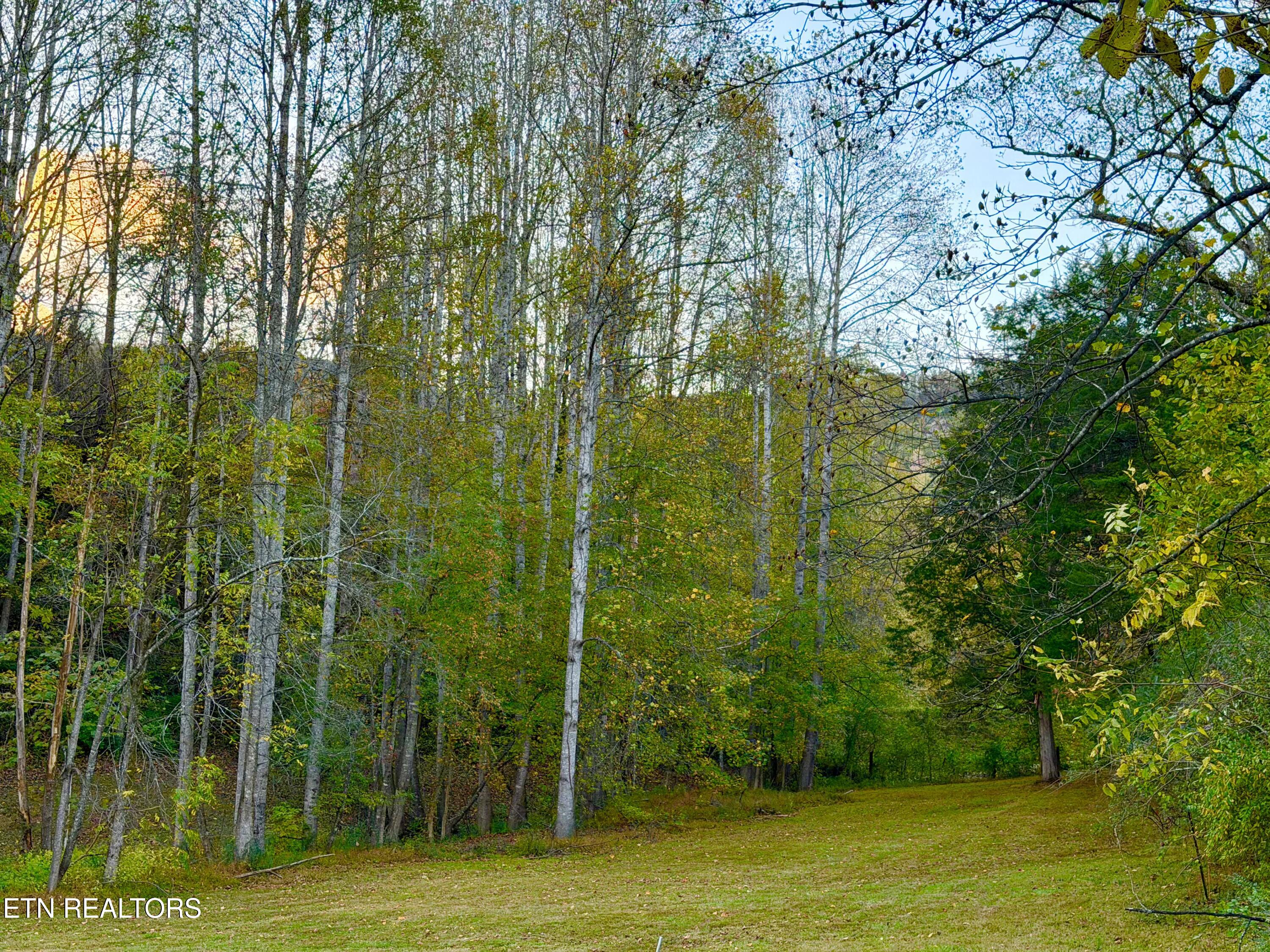 840 Butter And Egg Road Jacksboro TN 37757