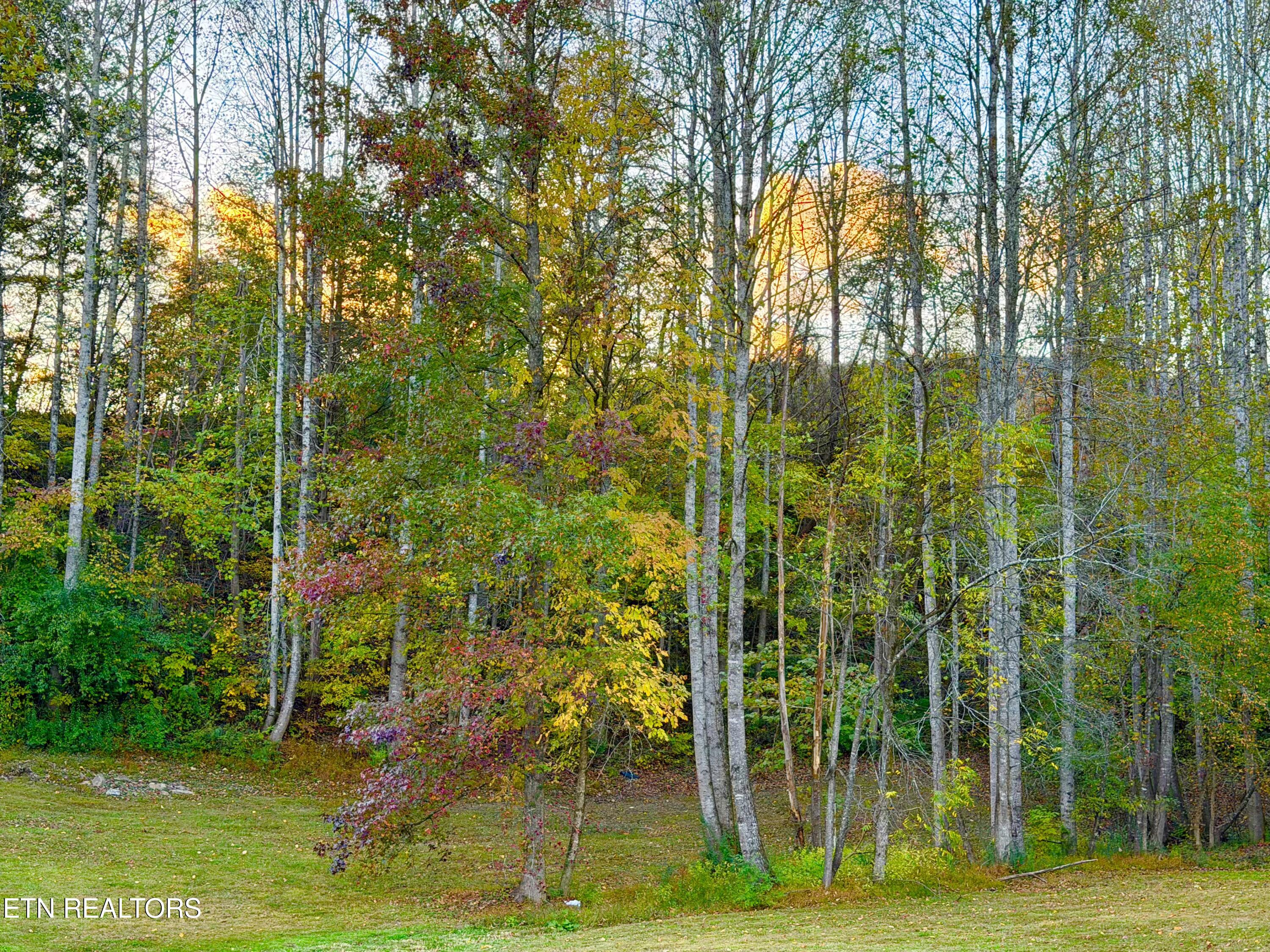 840 Butter And Egg Road Jacksboro TN 37757