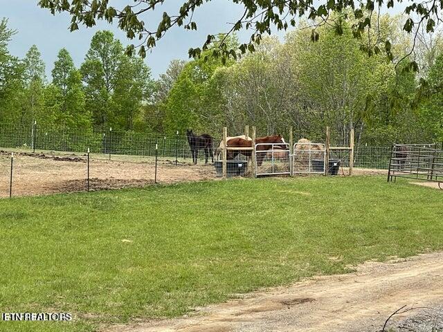 150 Fw Tate Lane Jamestown TN 38556