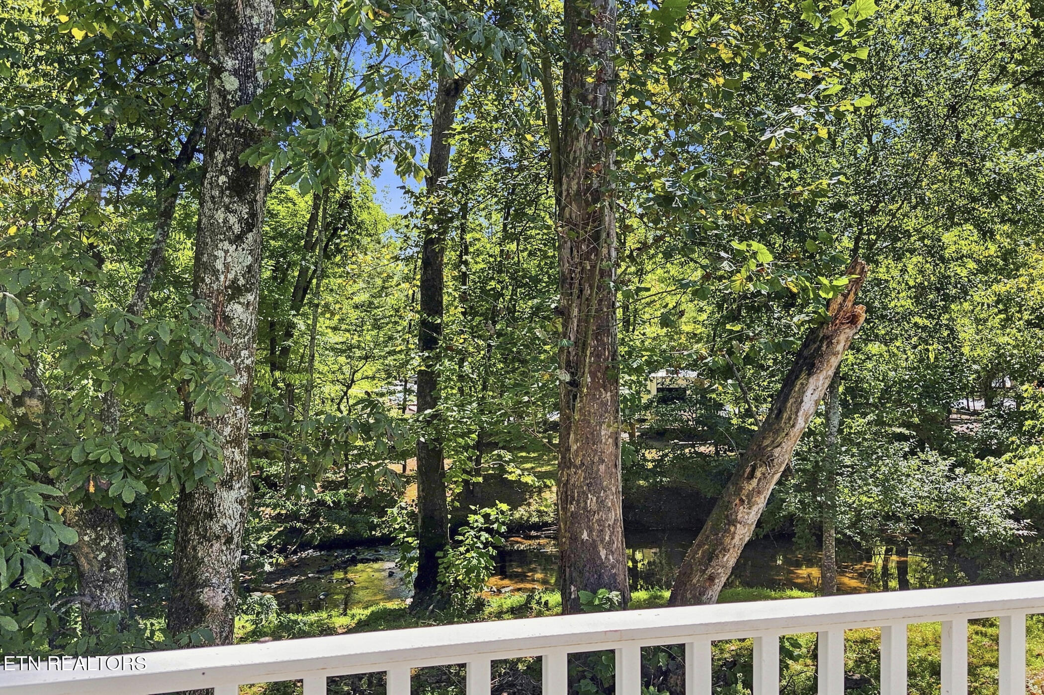 2032 Slippery Rock Circle Pigeon Forge TN 37862