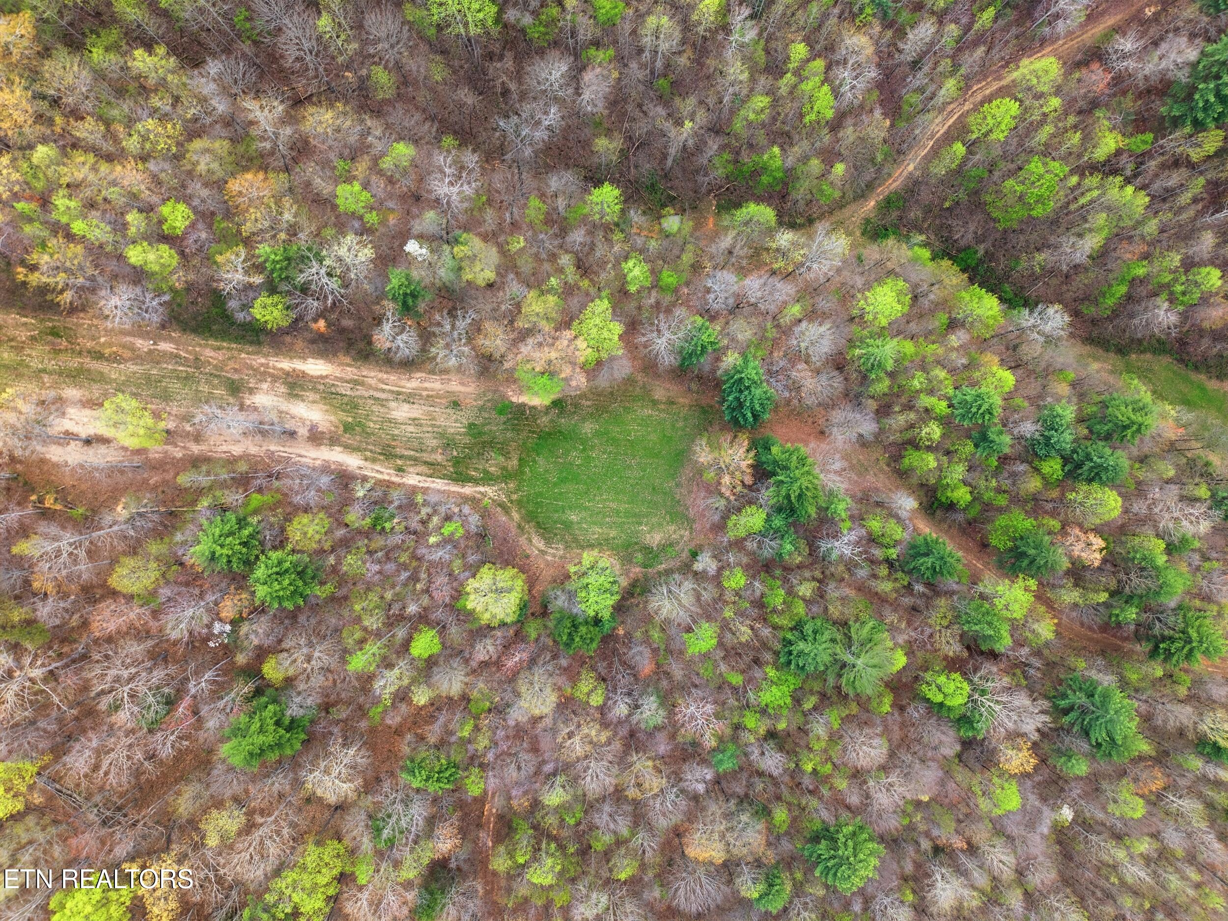113 Brashears Road Harriman TN 37748