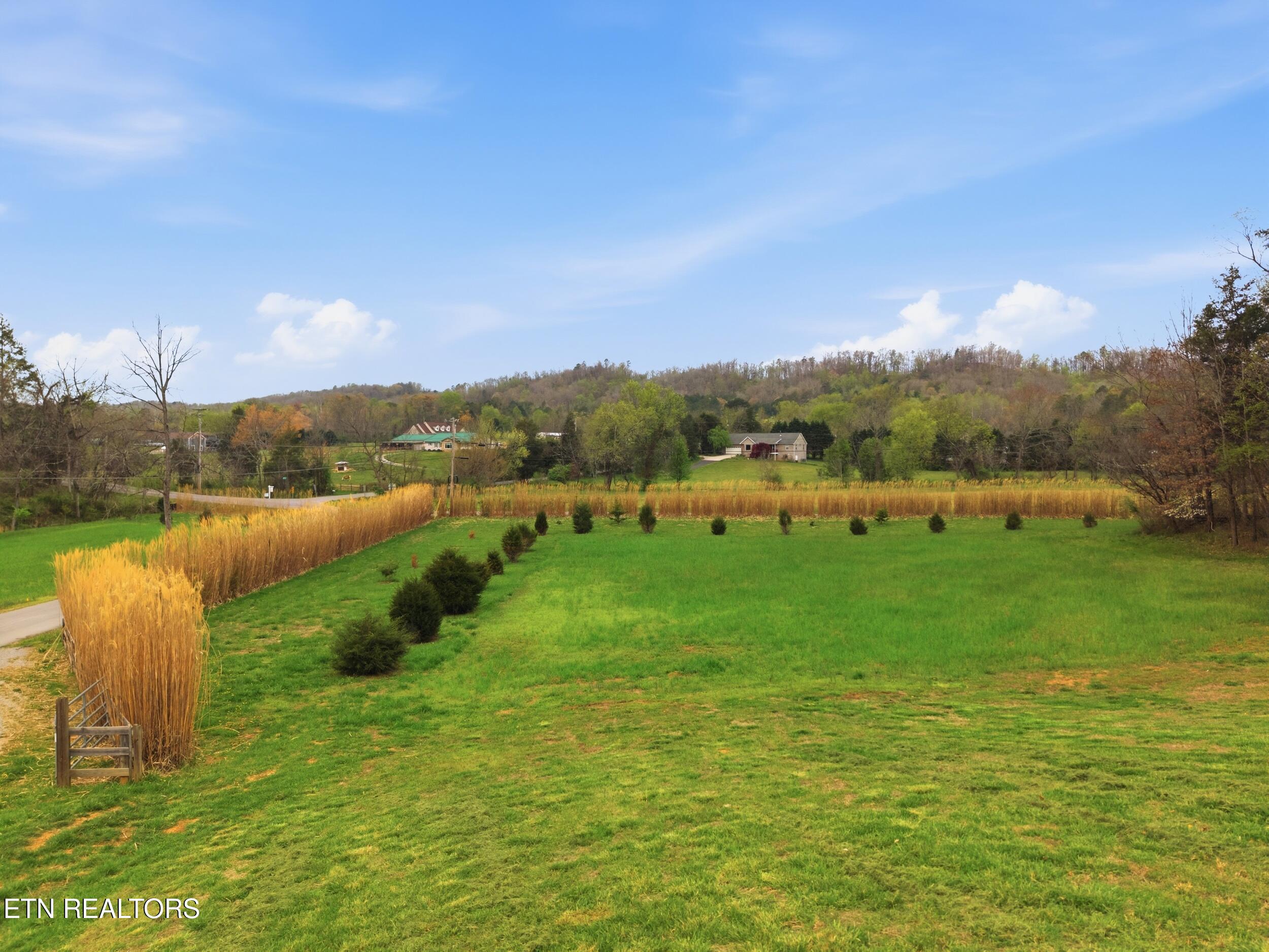 113 Brashears Road Harriman TN 37748