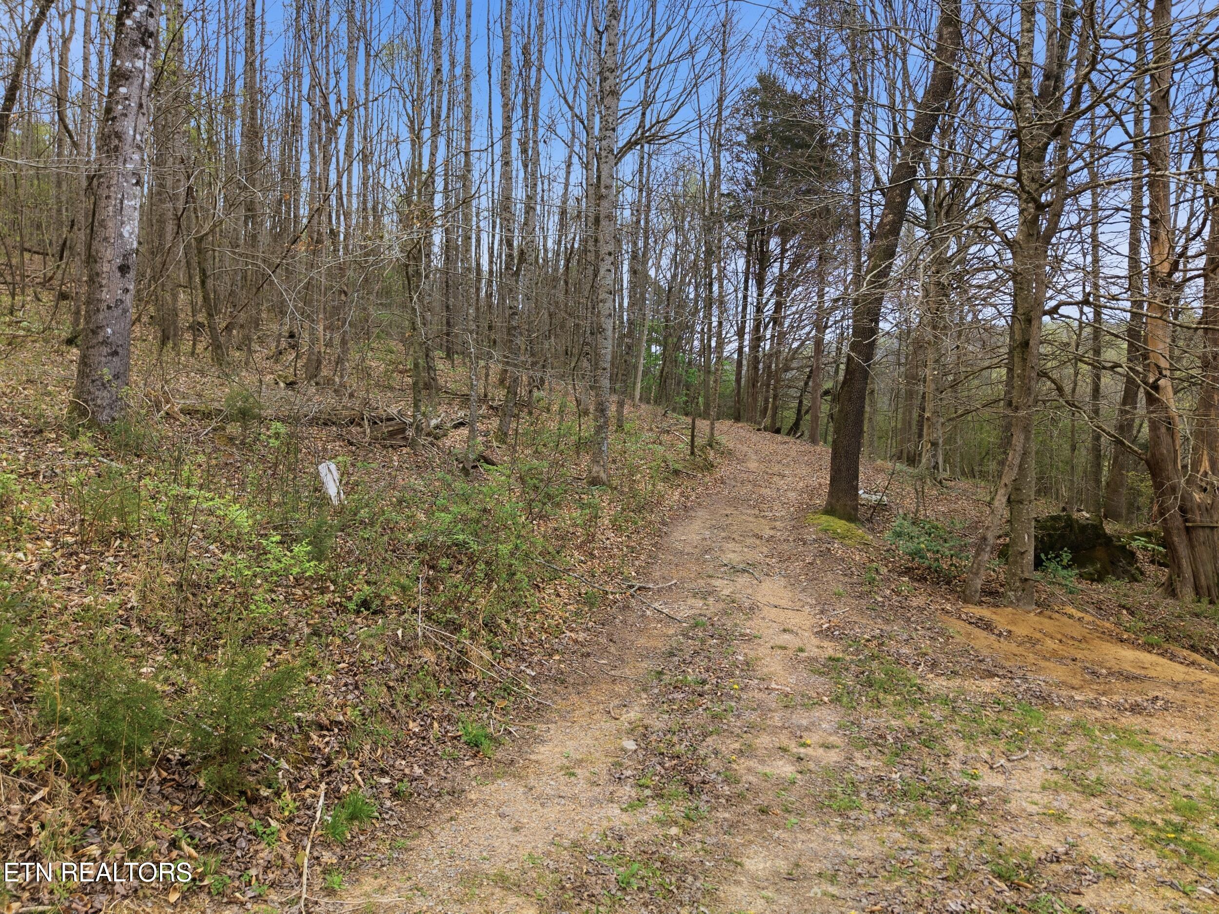 113 Brashears Road Harriman TN 37748