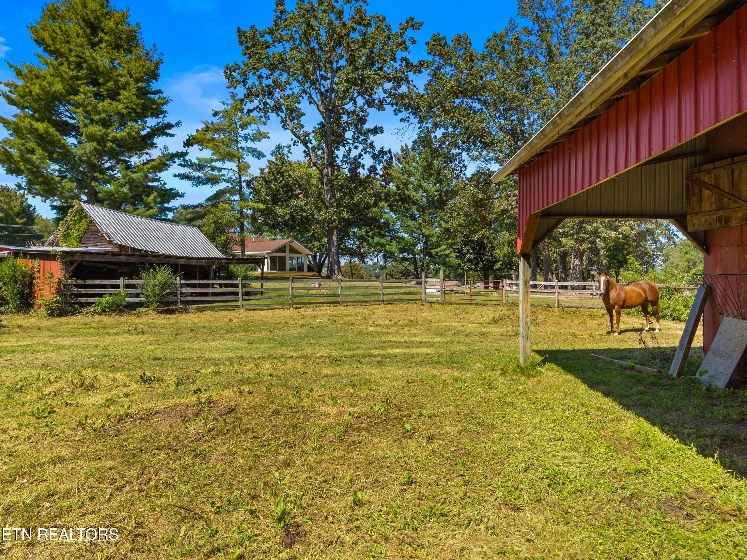 1328 W Main Street White Pine TN 37890