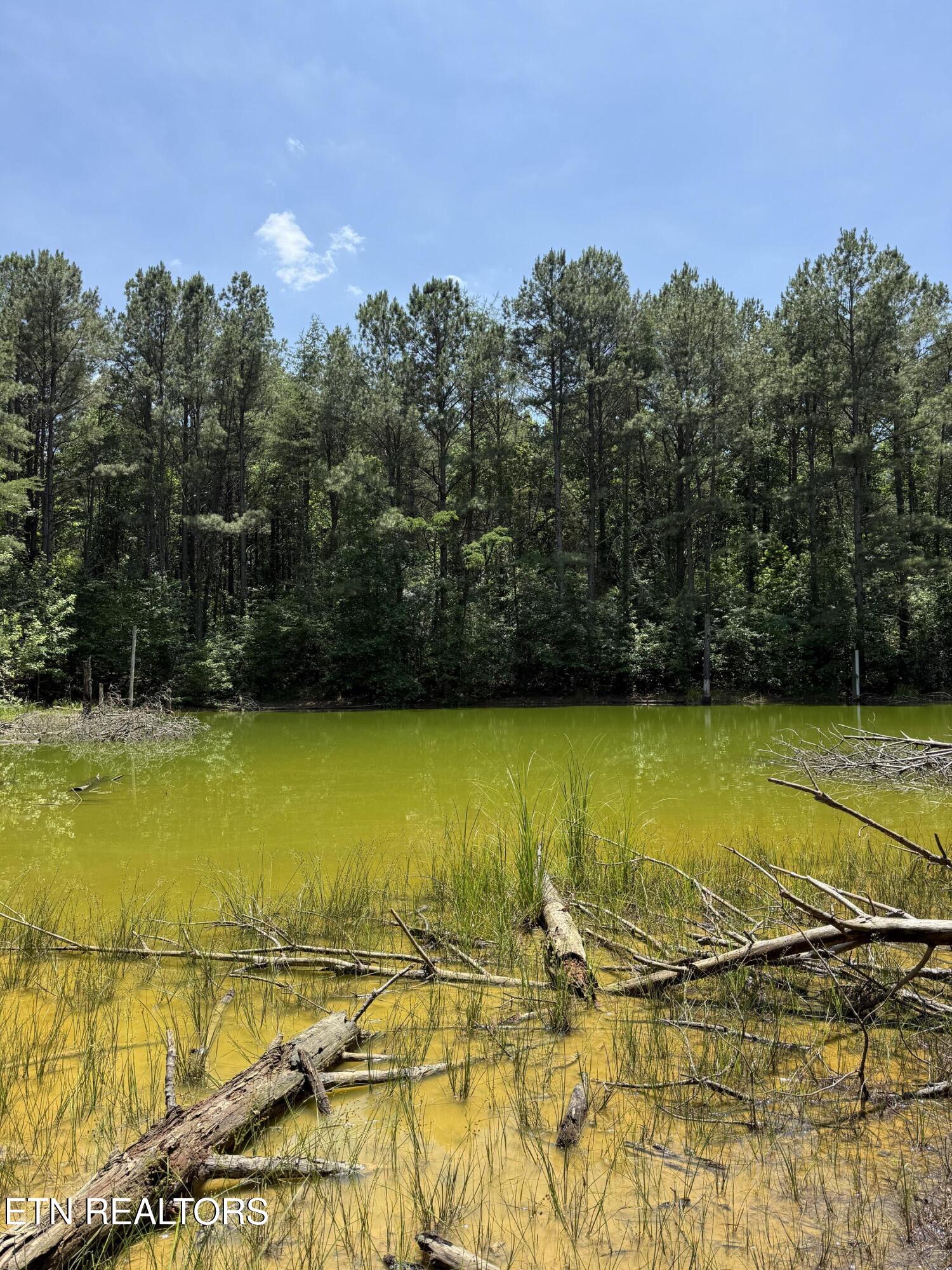 426 County Road 728 (43.5ACRES) Riceville TN 37370