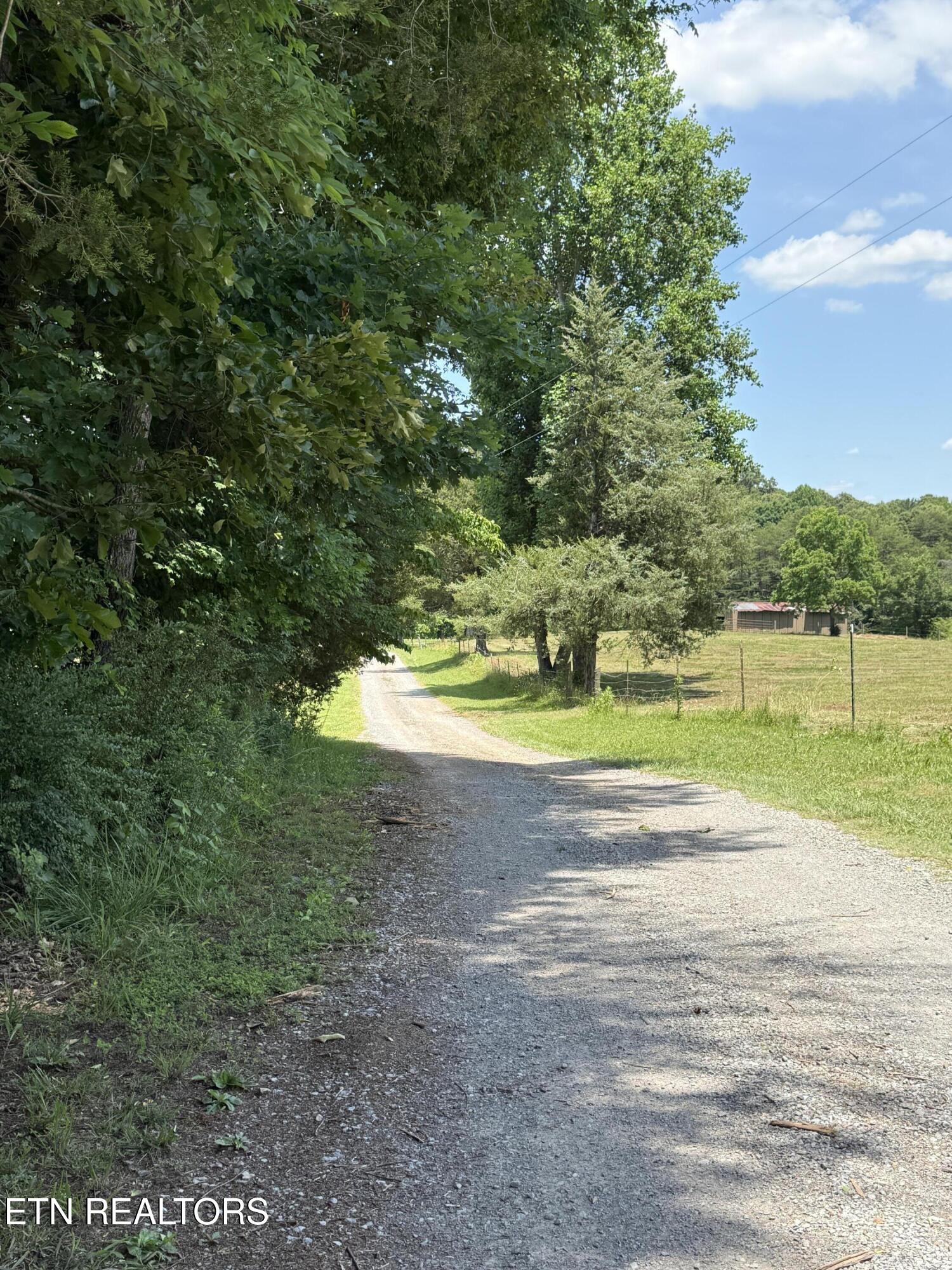 426 County Road 728 (43.5ACRES) Riceville TN 37370