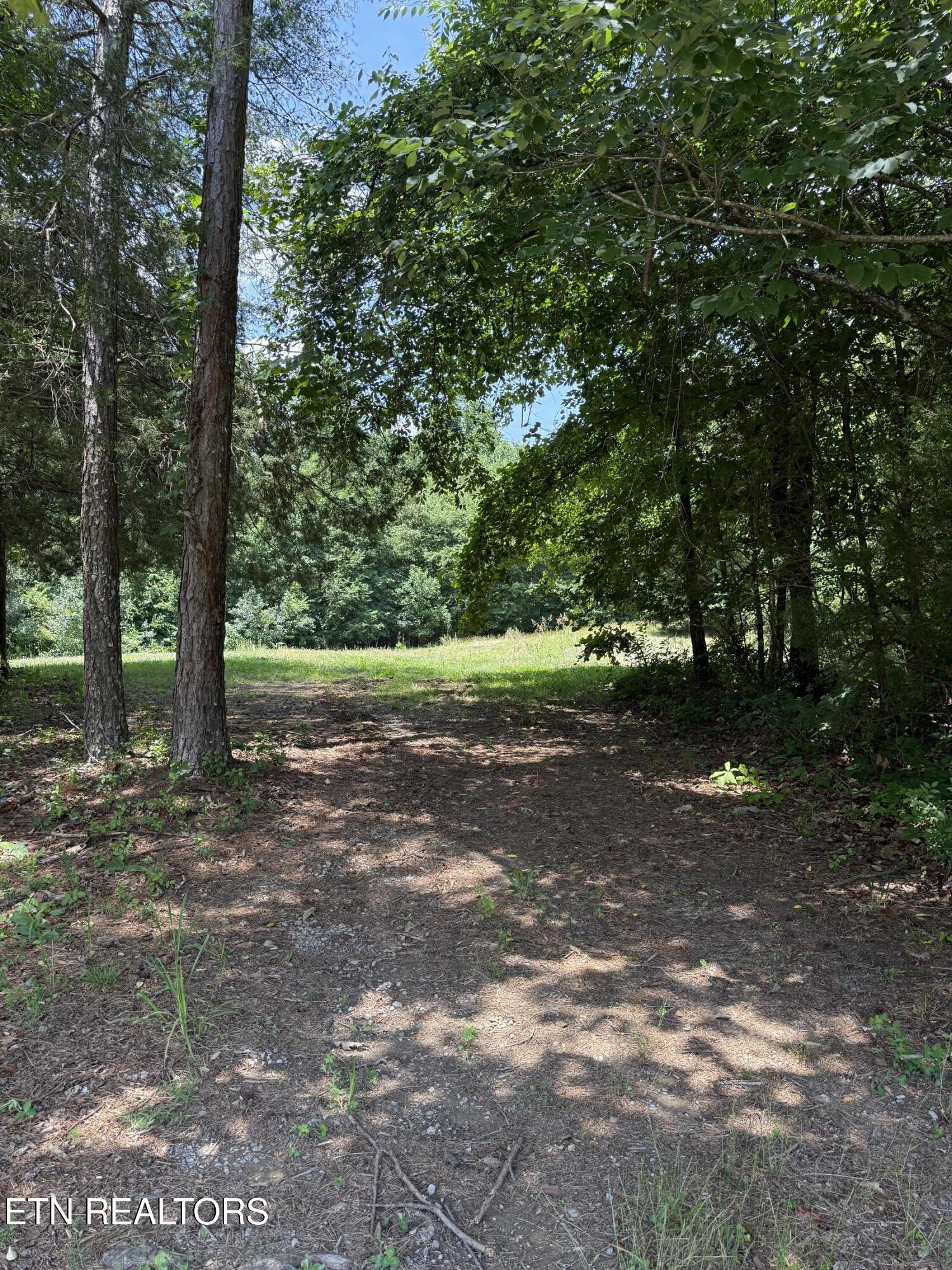 426 County Road 728 (43.5ACRES) Riceville TN 37370