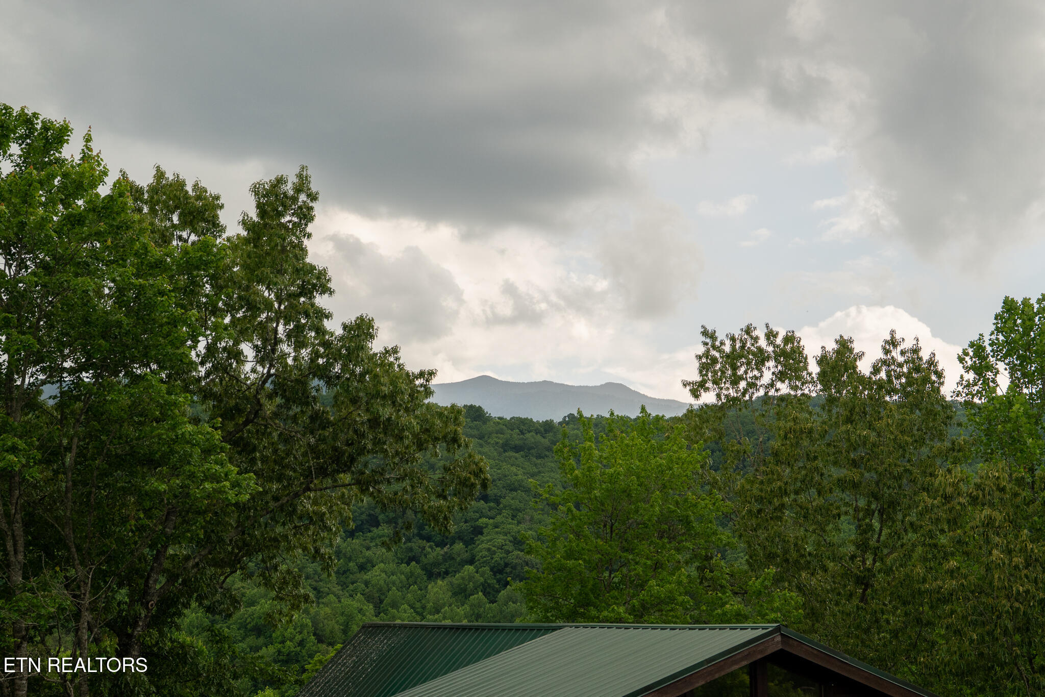 314 Brown Wren Way Gatlinburg TN 37738