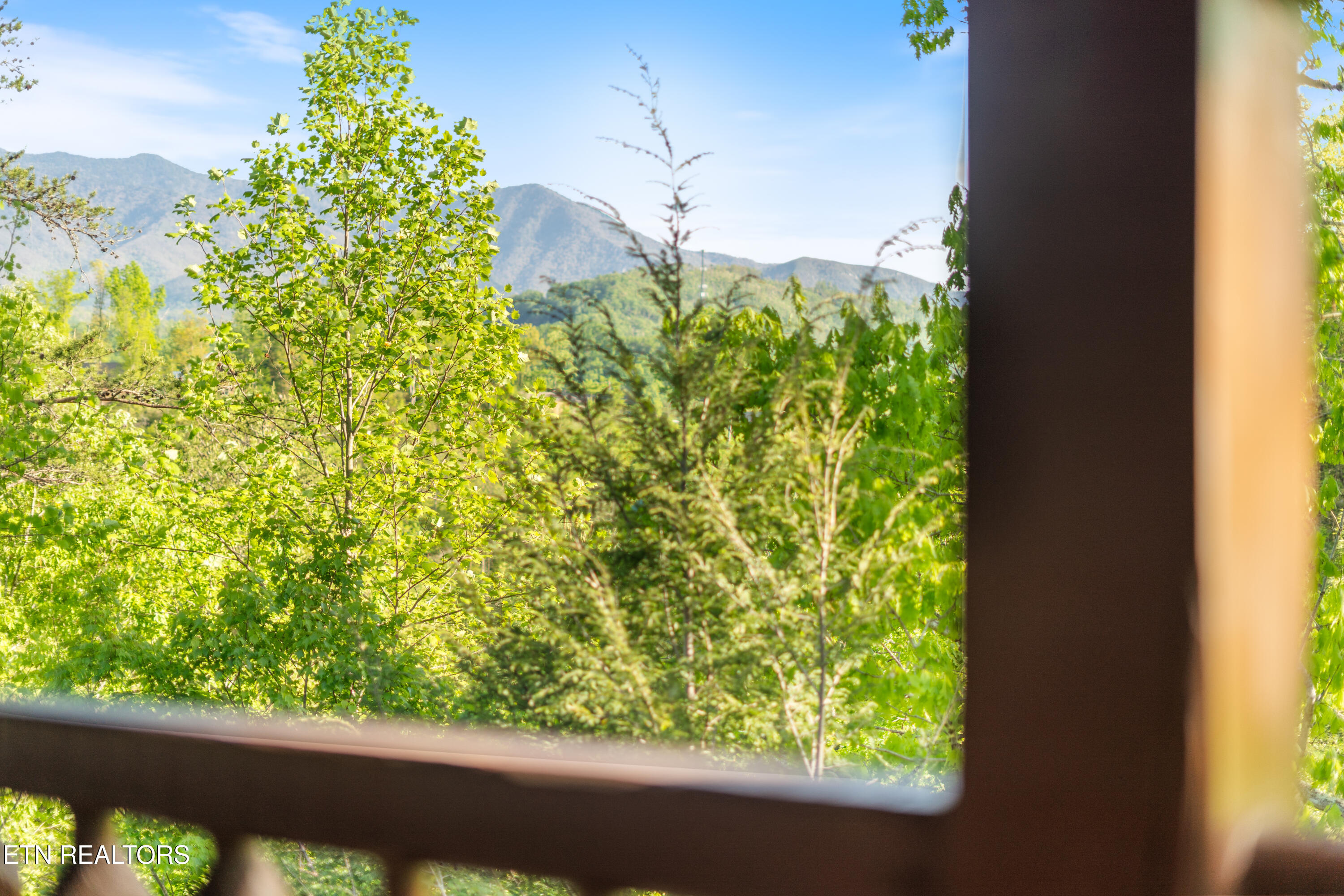 810 Great Smoky Way Gatlinburg TN 37738