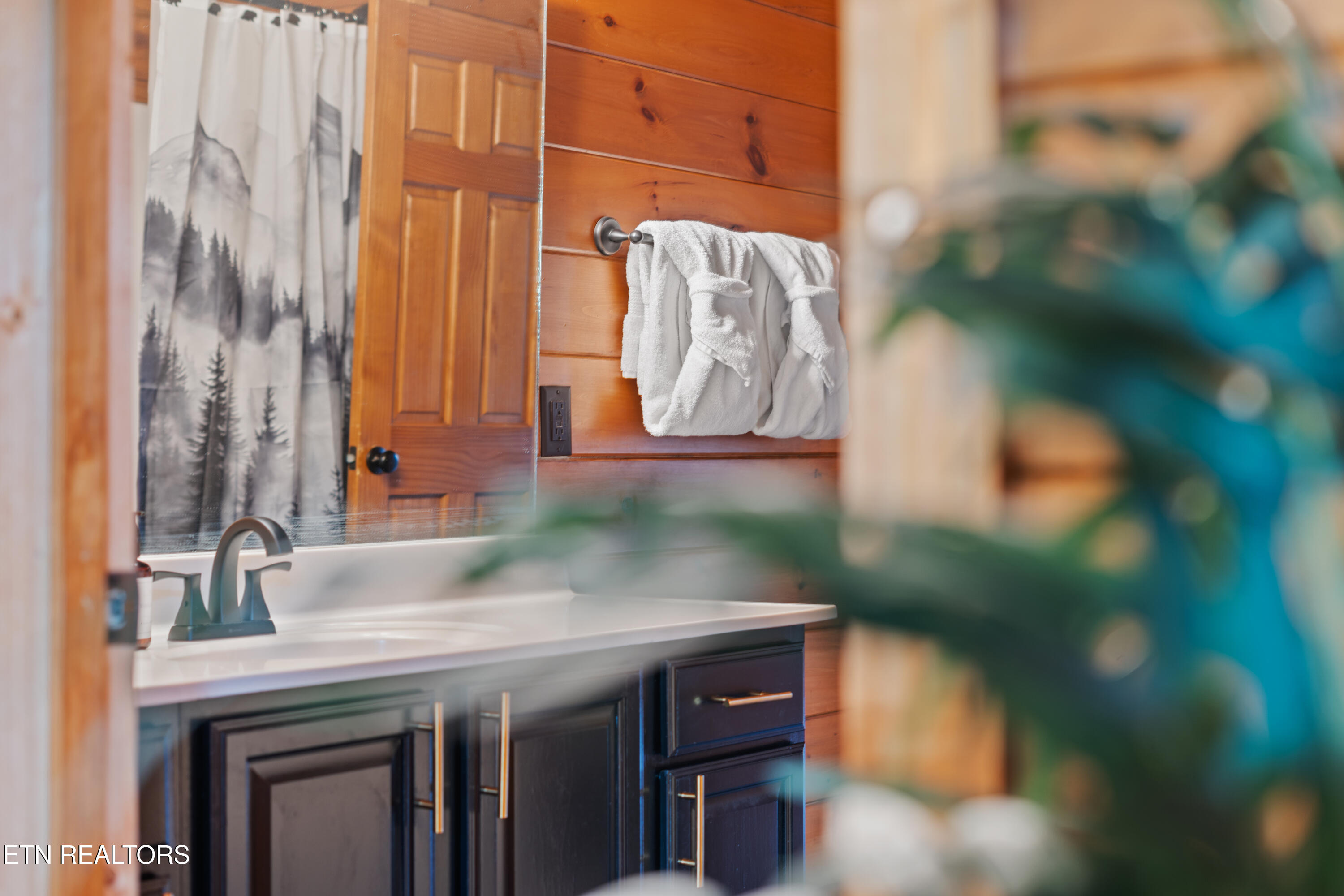 810 Great Smoky Way Gatlinburg TN 37738