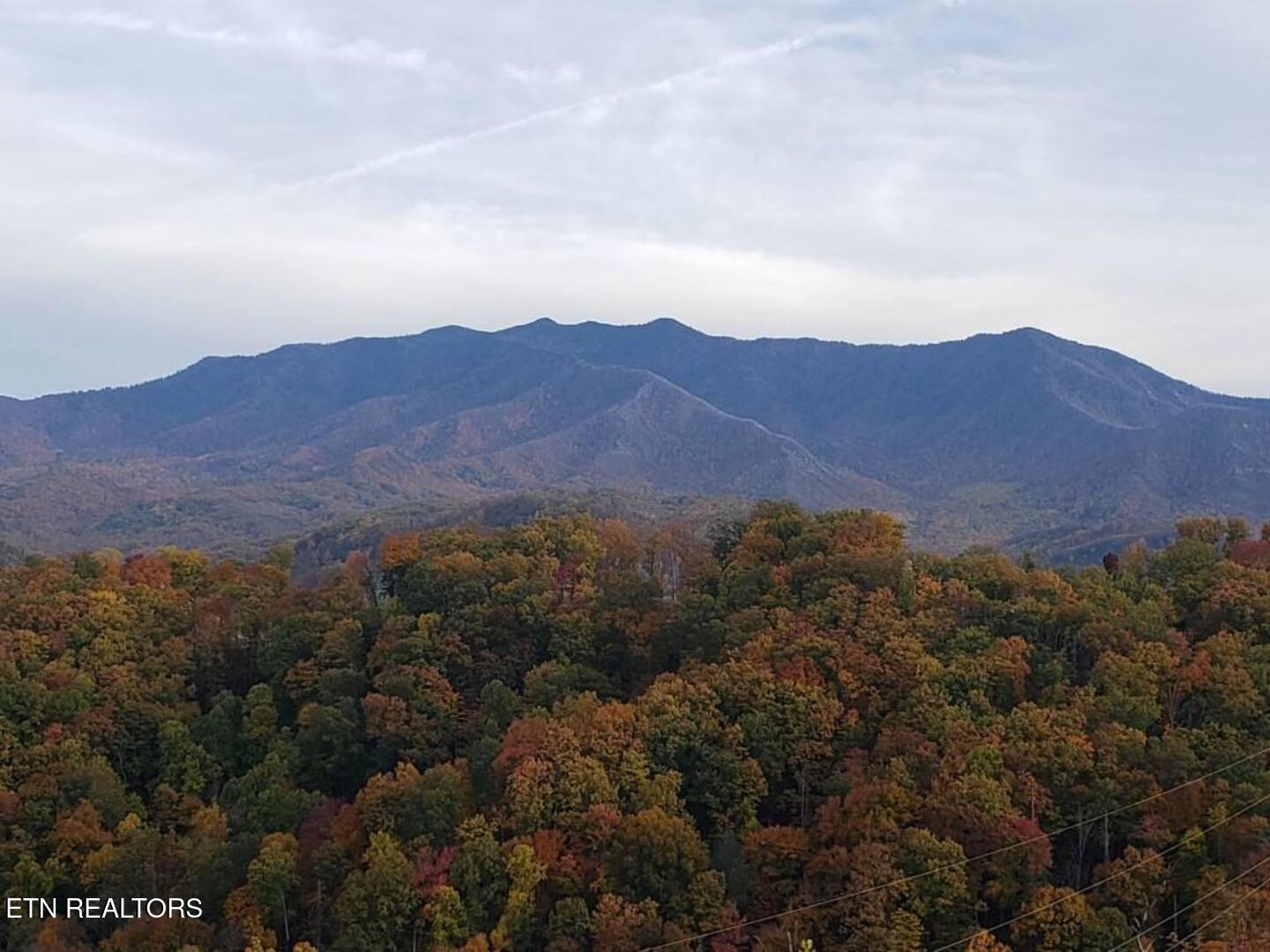 862 Sourwood Drive Gatlinburg TN 37738