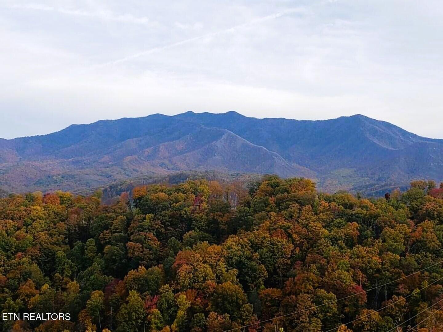 862 Sourwood Drive Gatlinburg TN 37738