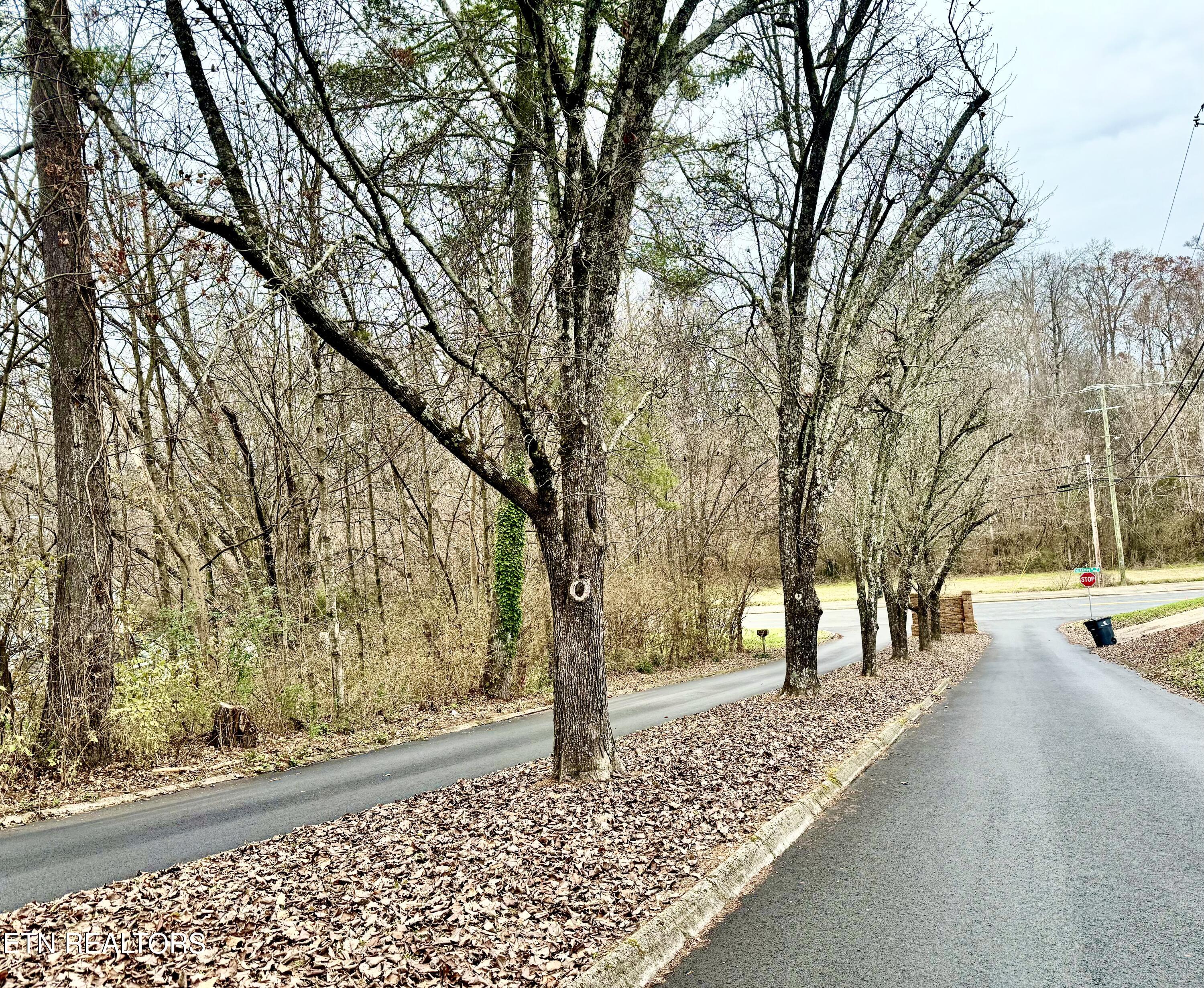 5720 Aloha Avenue Knoxville TN 37921