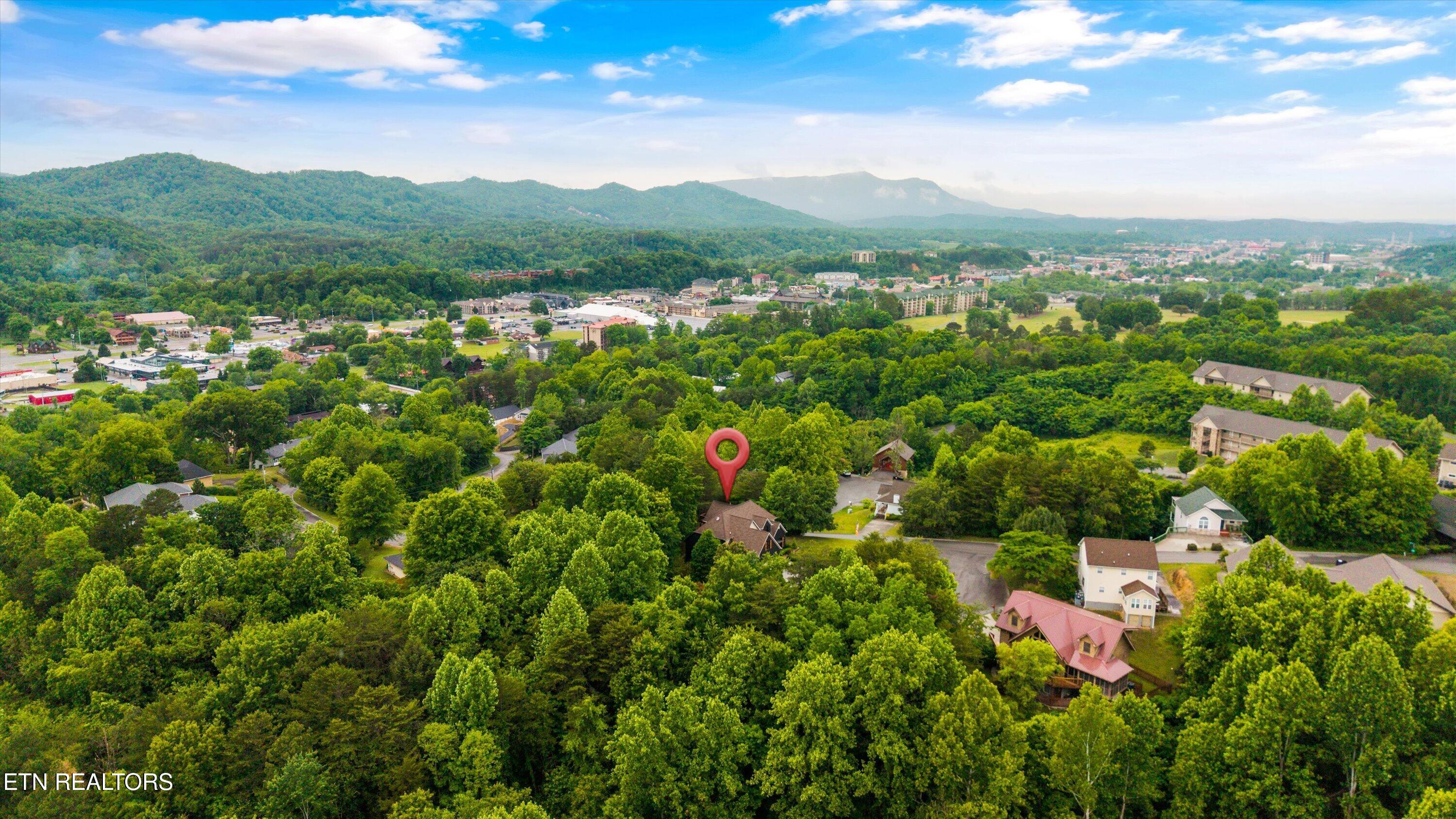 704 Blue Dun Court Pigeon Forge TN 37863