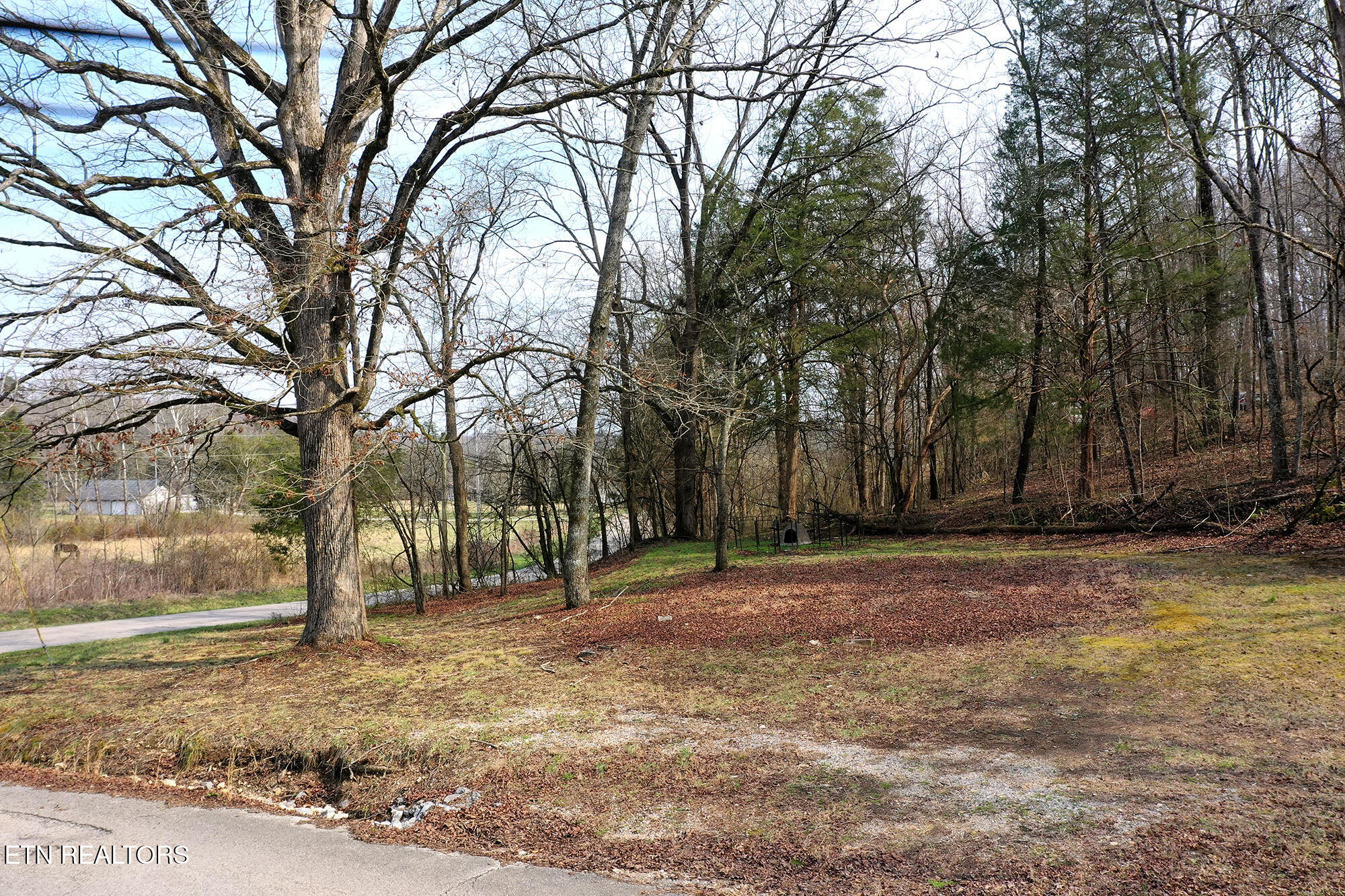 301 Gage Road Philadelphia TN 37846