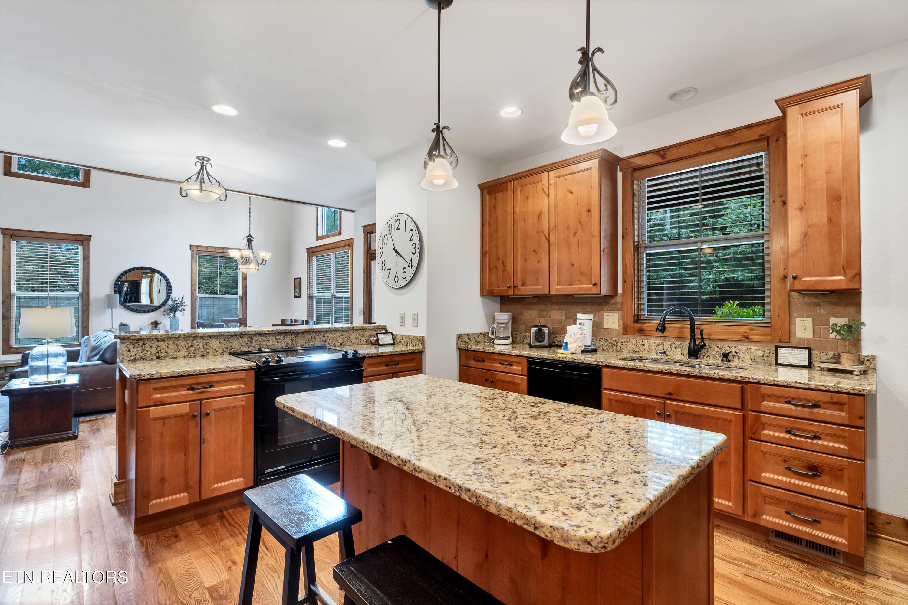 196 Cold Springs Trace Townsend TN 37882
