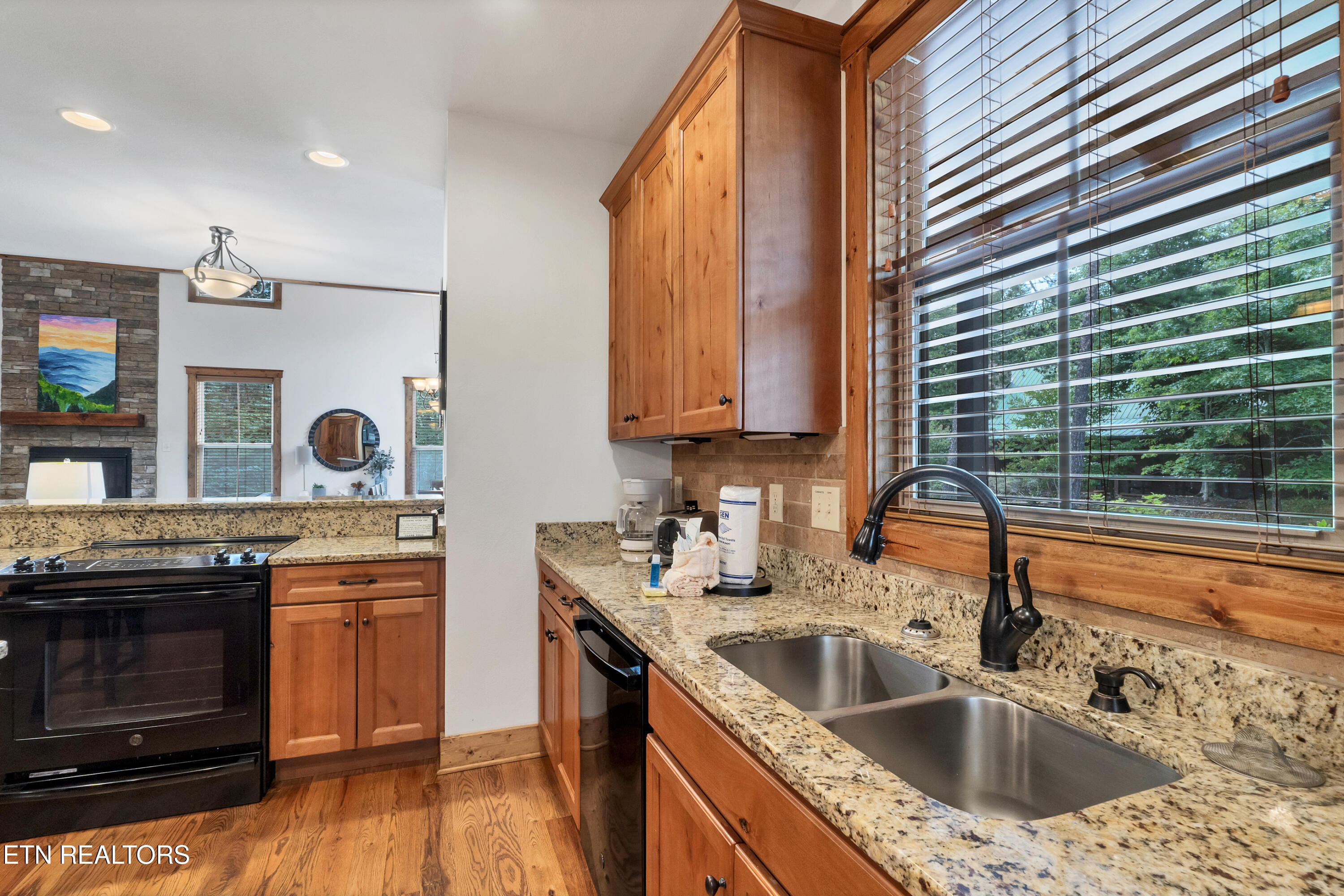 196 Cold Springs Trace Townsend TN 37882