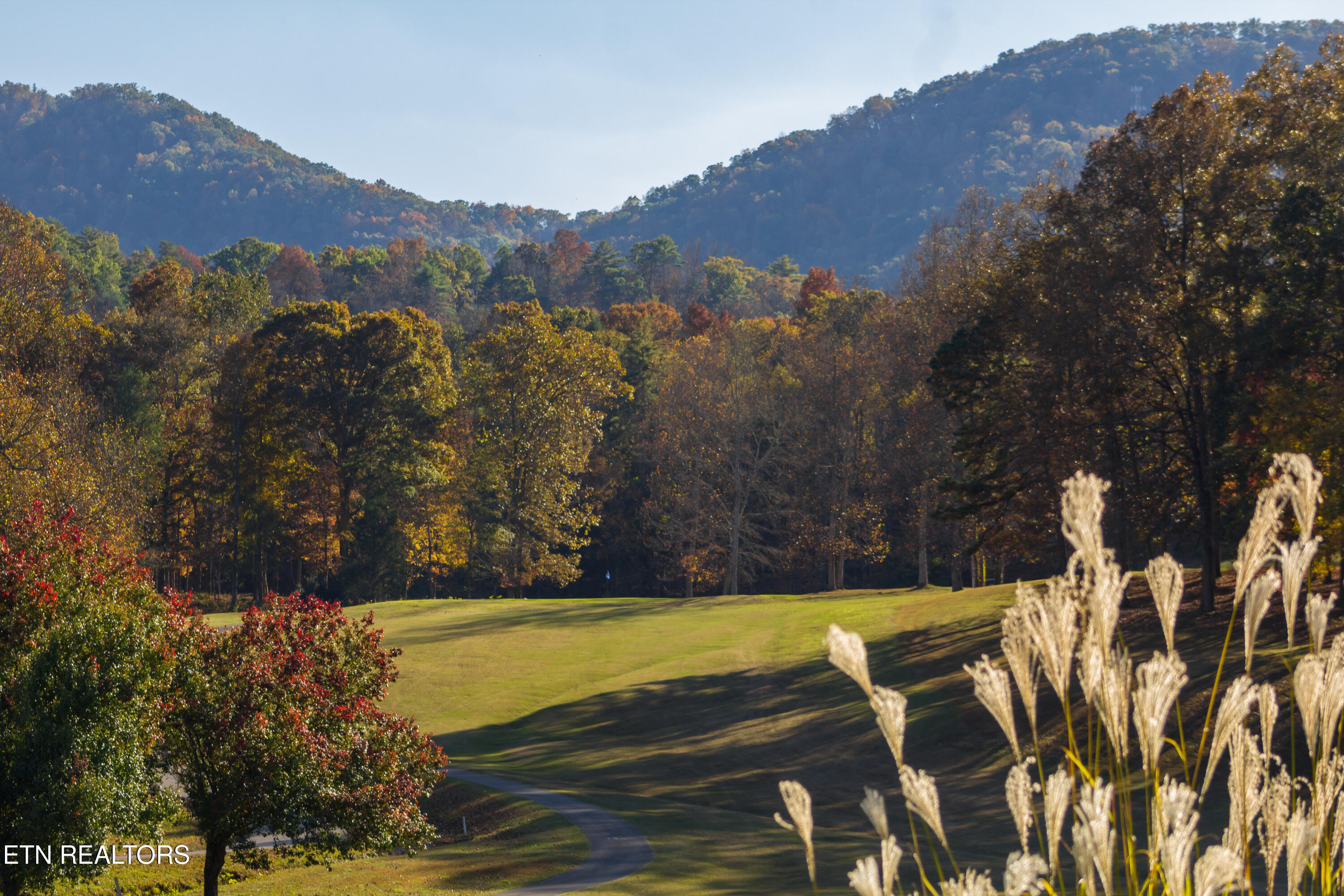 196 Cold Springs Trace Townsend TN 37882