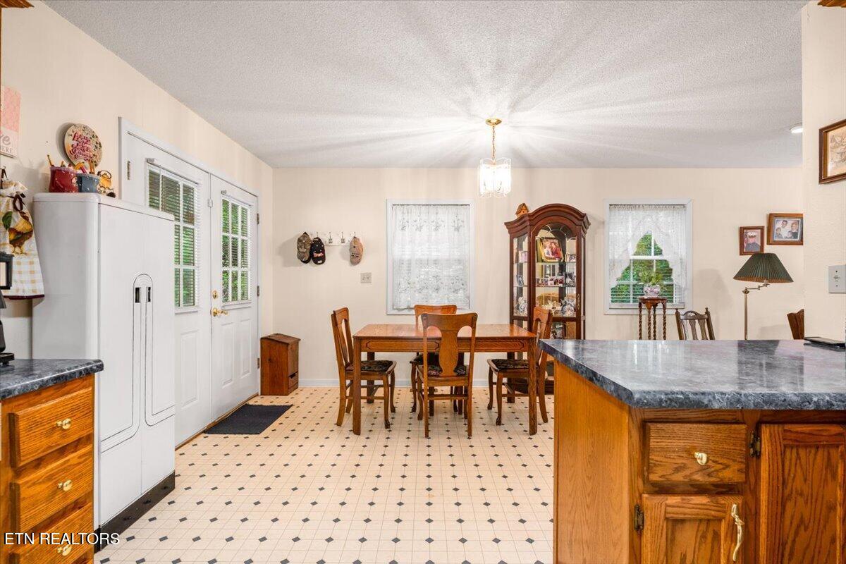 169 Bibee Lane Caryville TN 37714