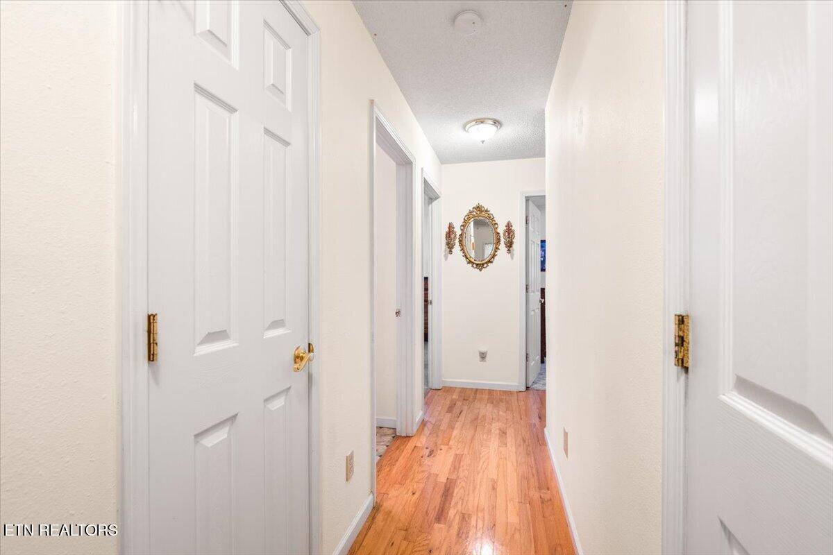 169 Bibee Lane Caryville TN 37714