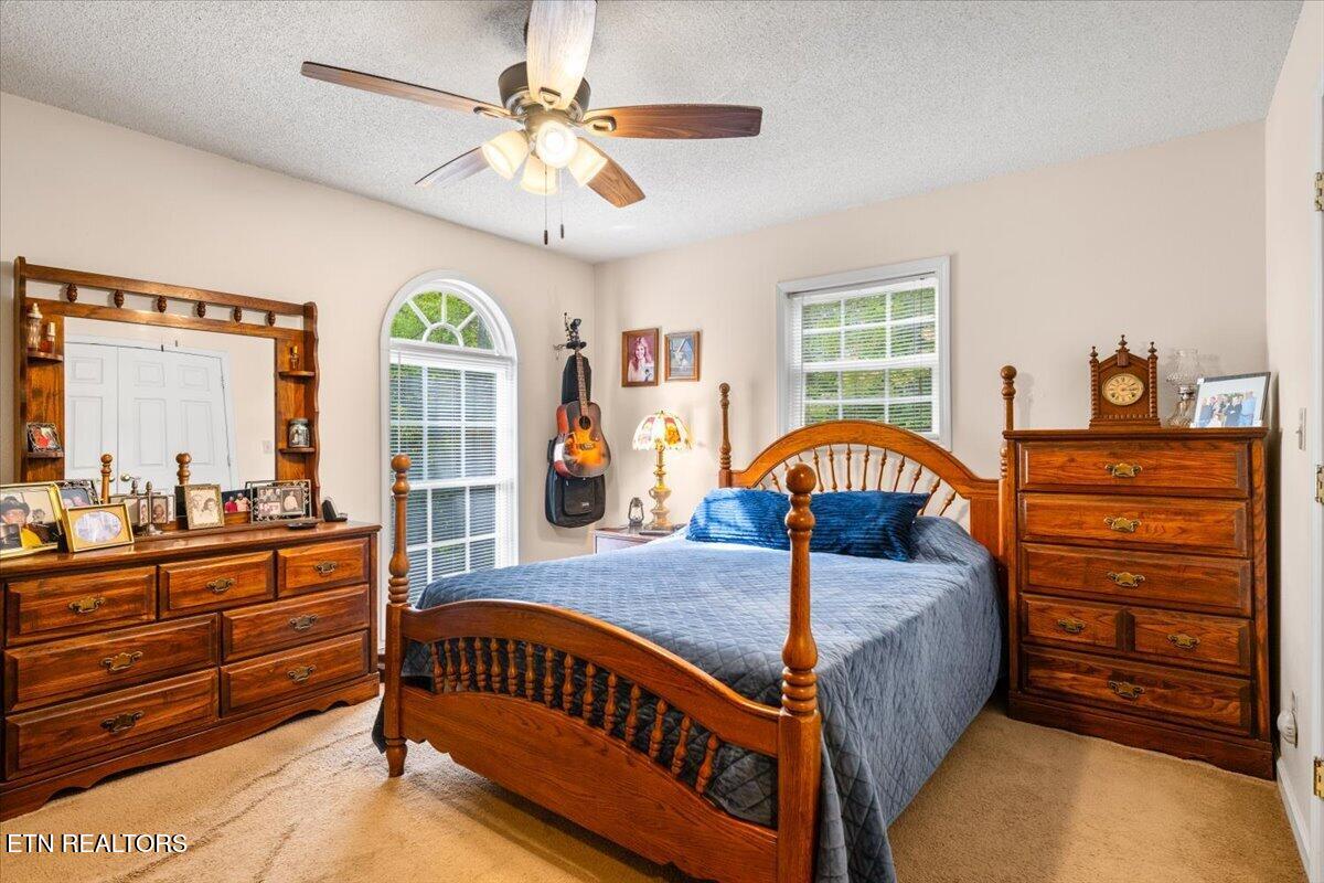 169 Bibee Lane Caryville TN 37714