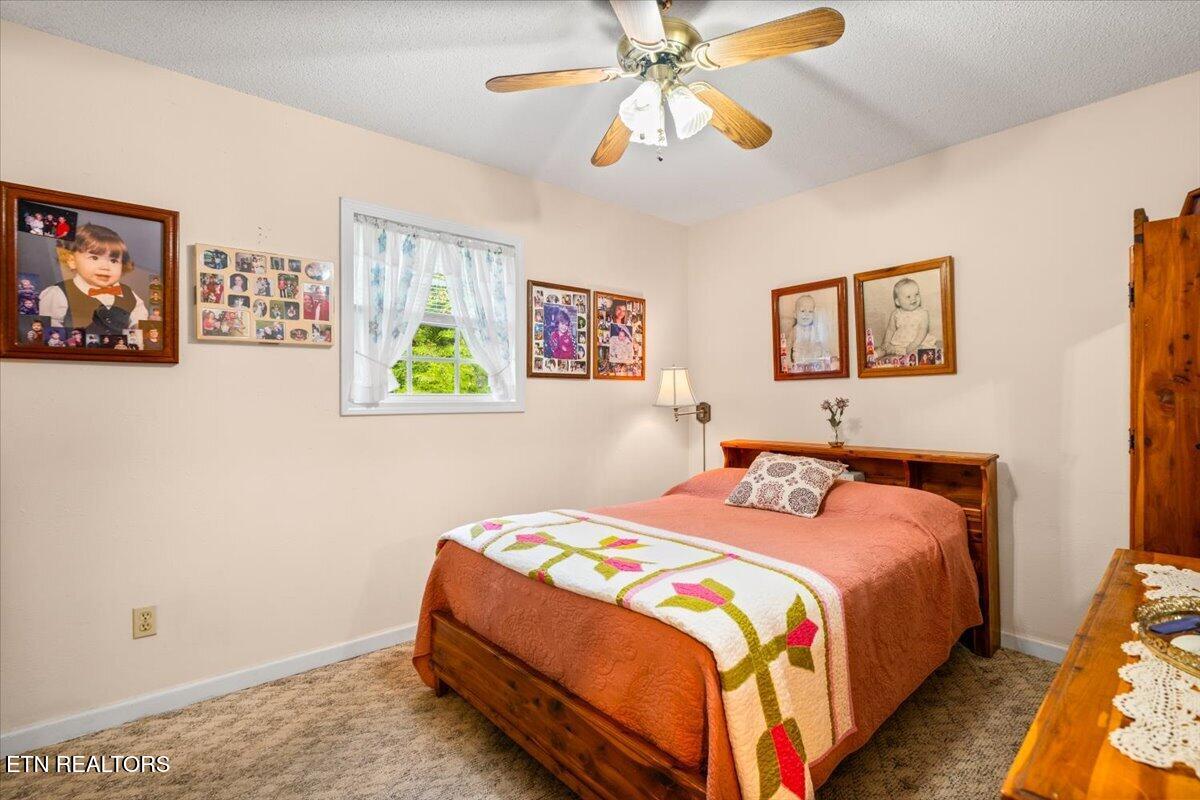 169 Bibee Lane Caryville TN 37714