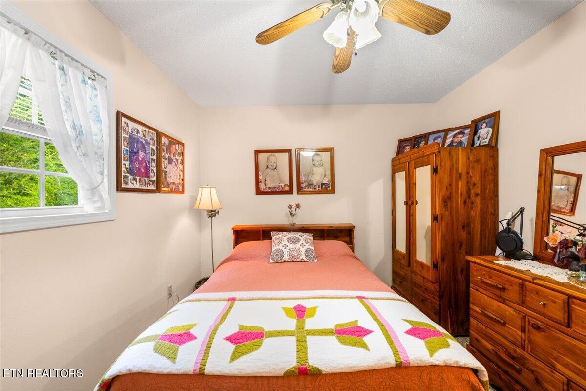 169 Bibee Lane Caryville TN 37714