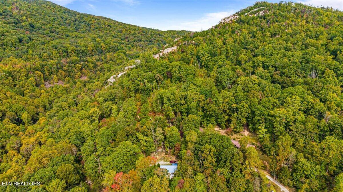 169 Bibee Lane Caryville TN 37714
