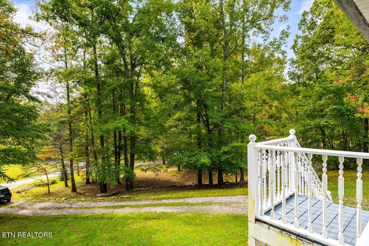169 Bibee Lane Caryville TN 37714