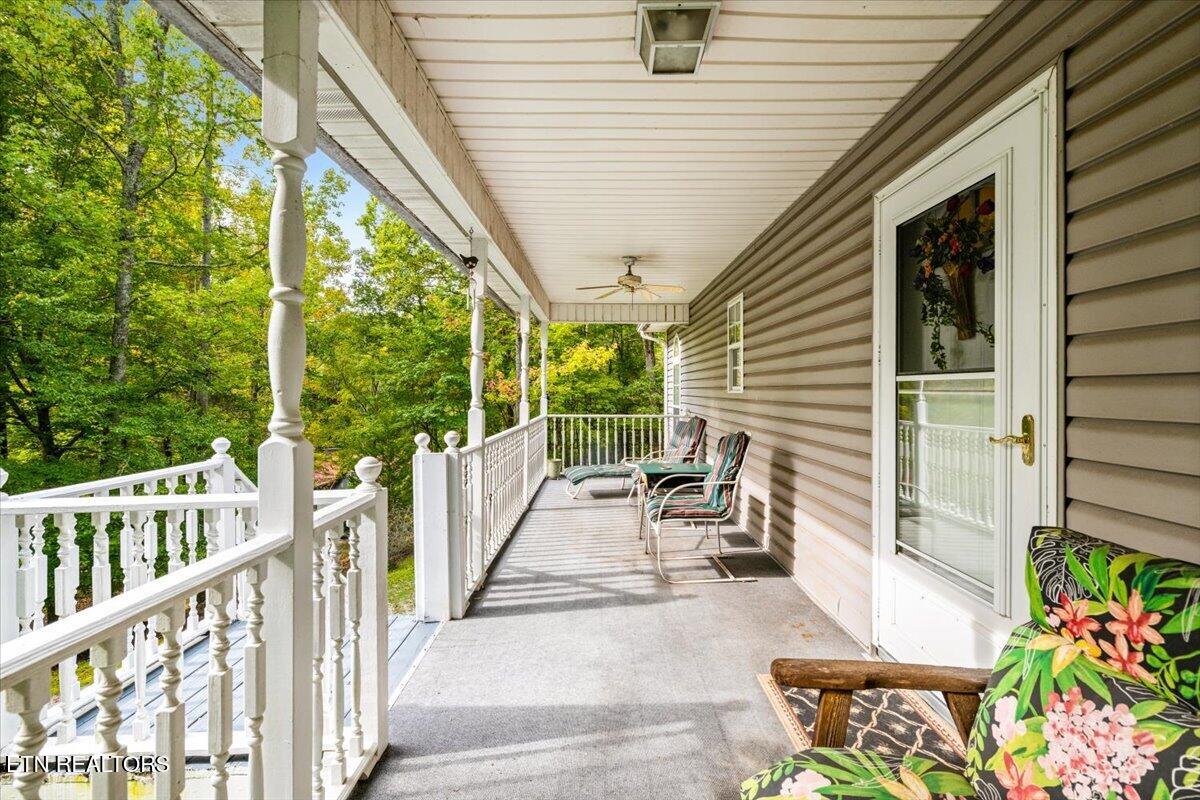 169 Bibee Lane Caryville TN 37714