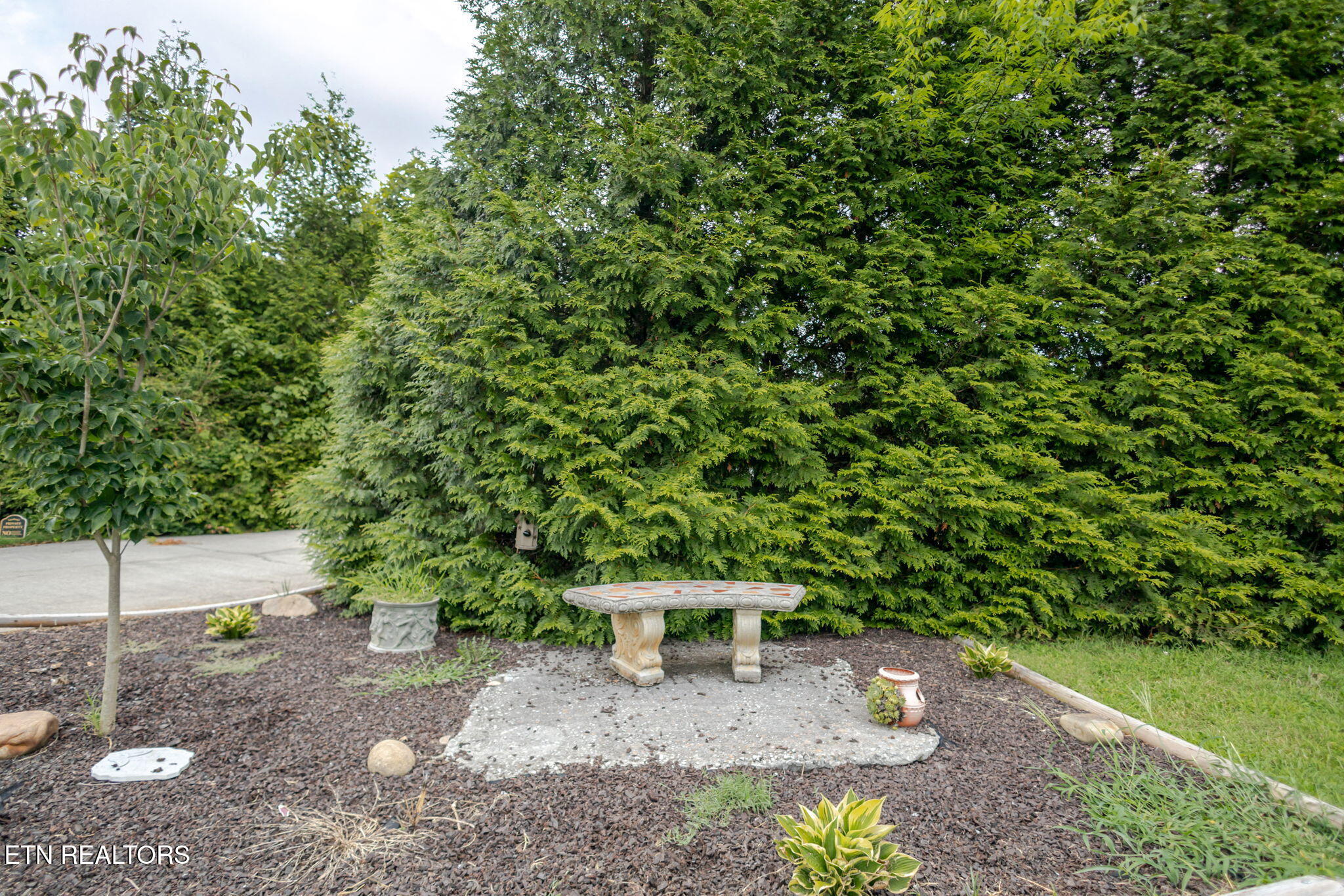 3111 Jane Street White Pine TN 37890