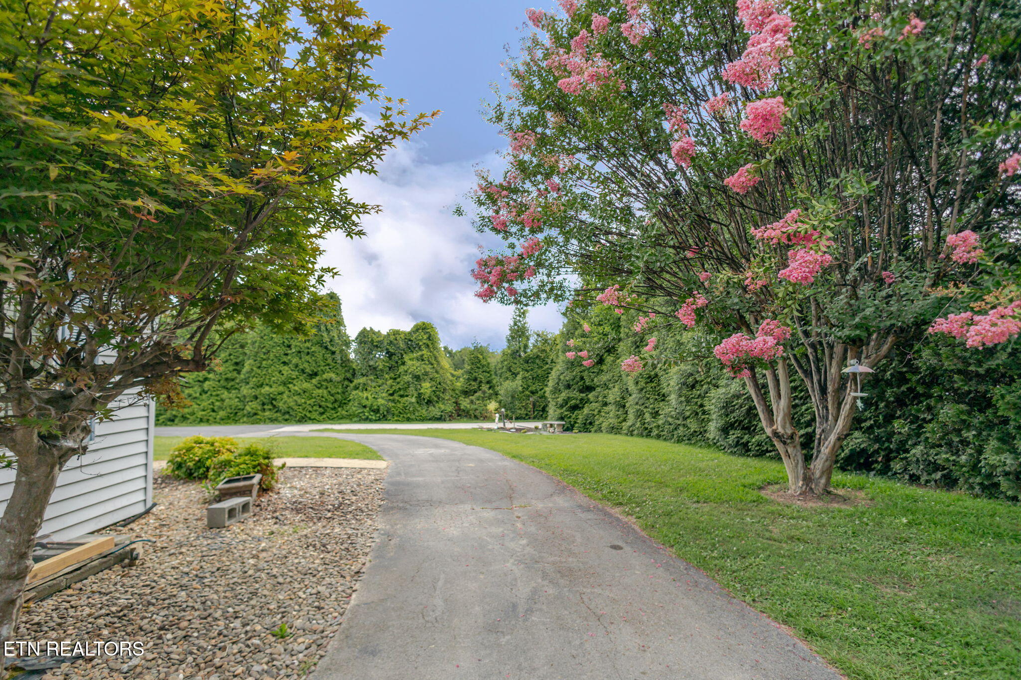 3111 Jane Street White Pine TN 37890