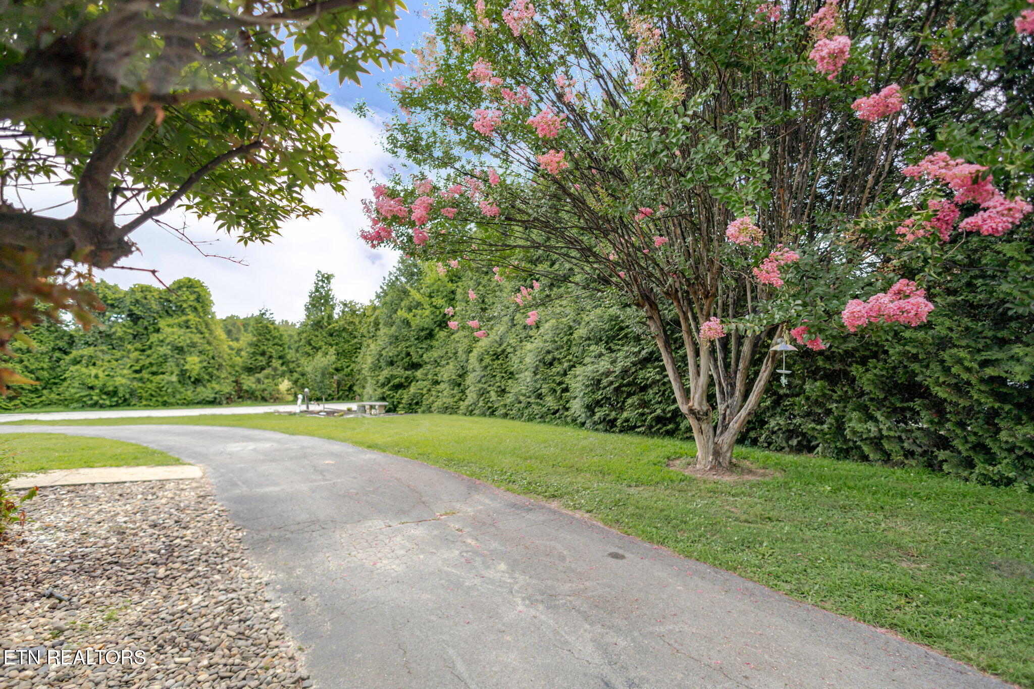 3111 Jane Street White Pine TN 37890