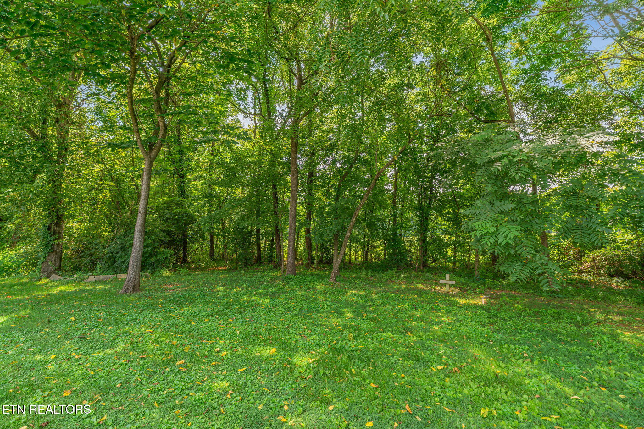 7811 Cody Lane Knoxville TN 37938
