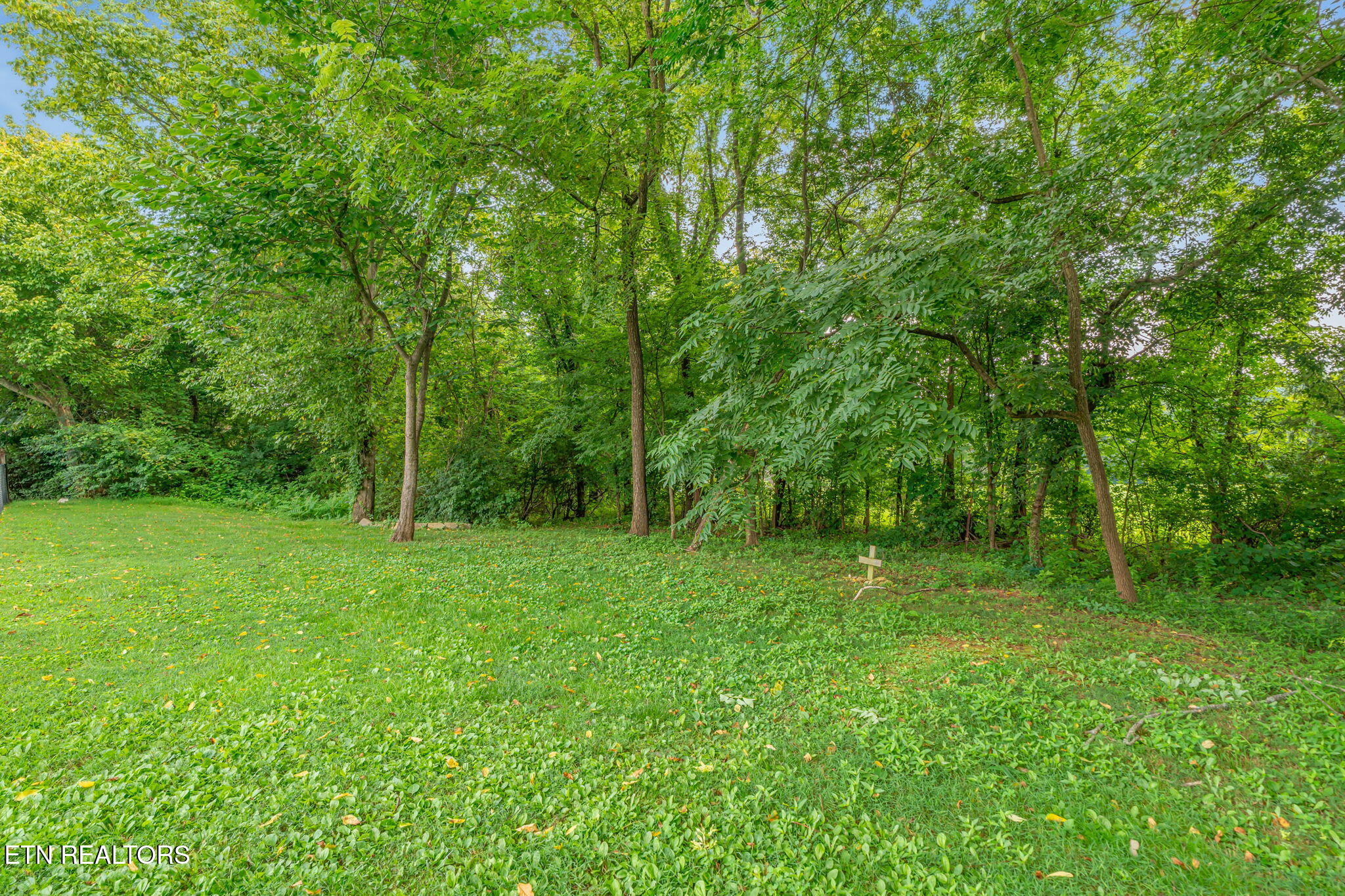 7811 Cody Lane Knoxville TN 37938