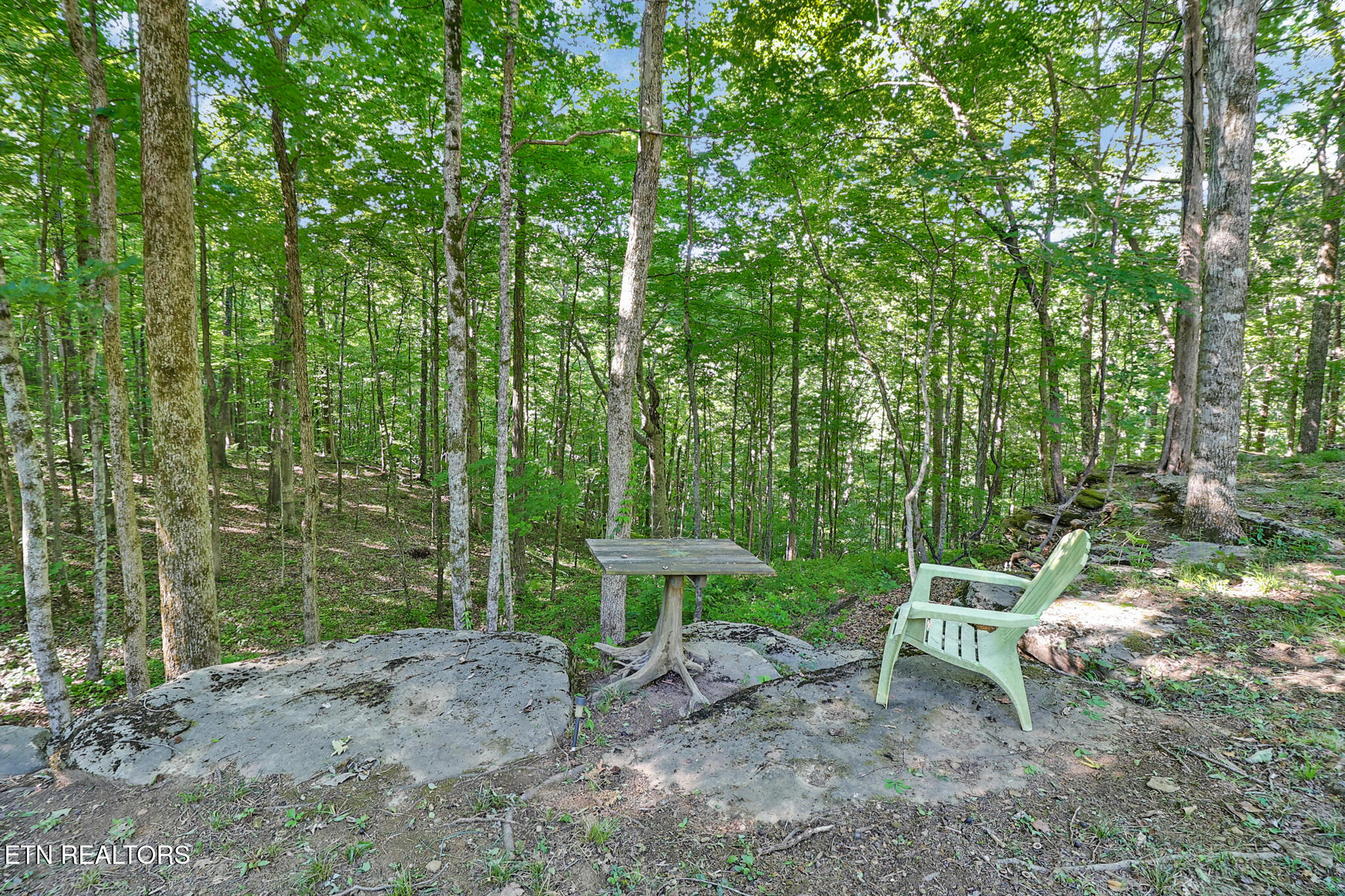 737 Edd Linder Road Jamestown TN 38556