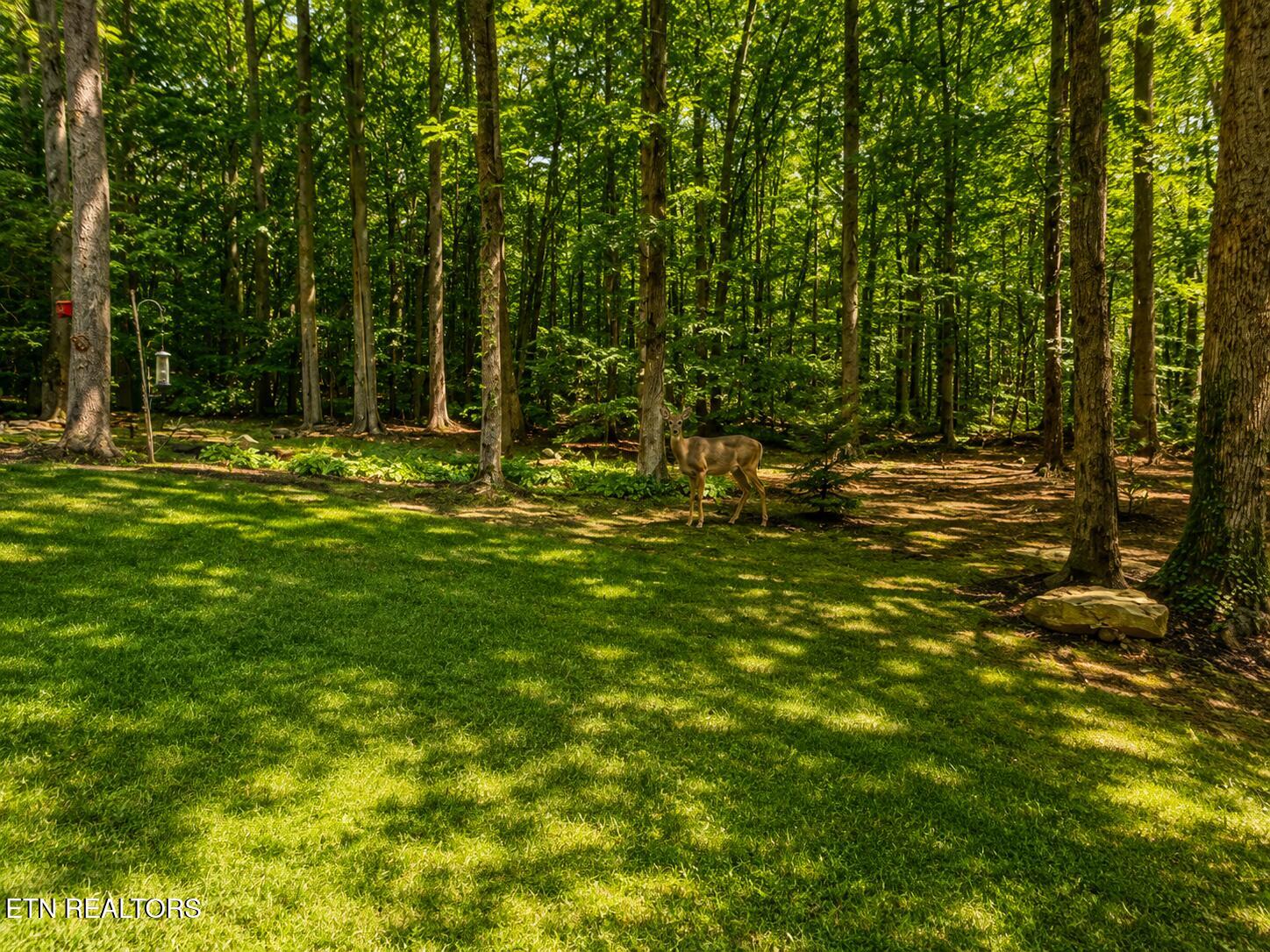737 Edd Linder Road Jamestown TN 38556