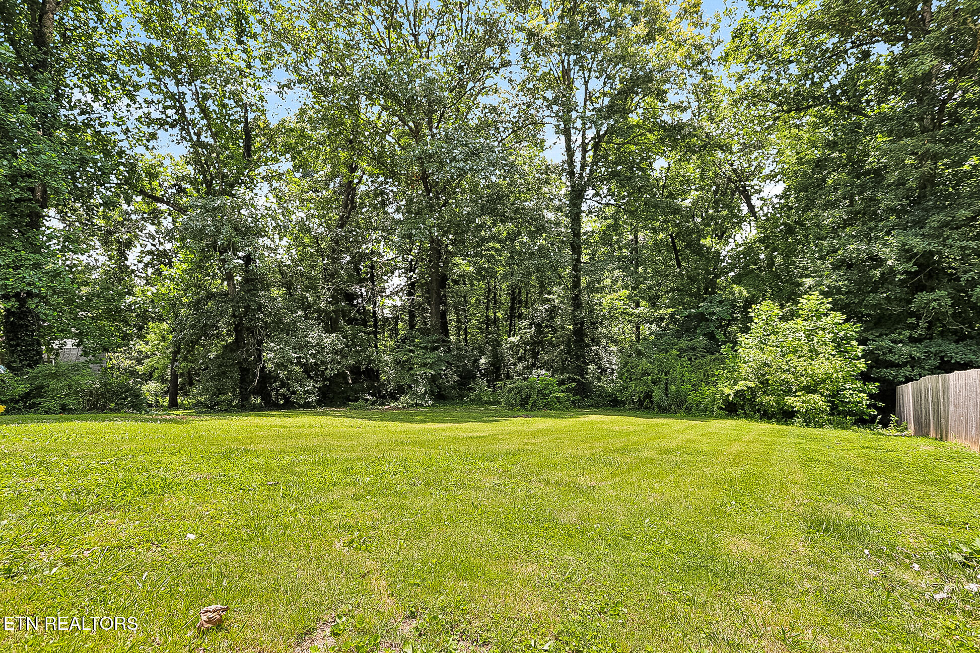 1719 Woodhaven Drive Knoxville TN 37914