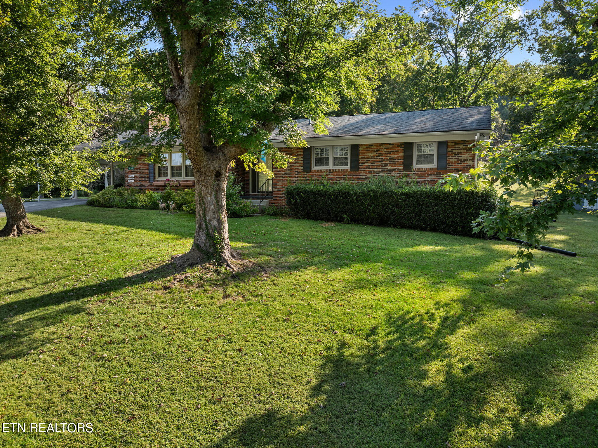 130 Carden Lane Rocky Top TN 37769