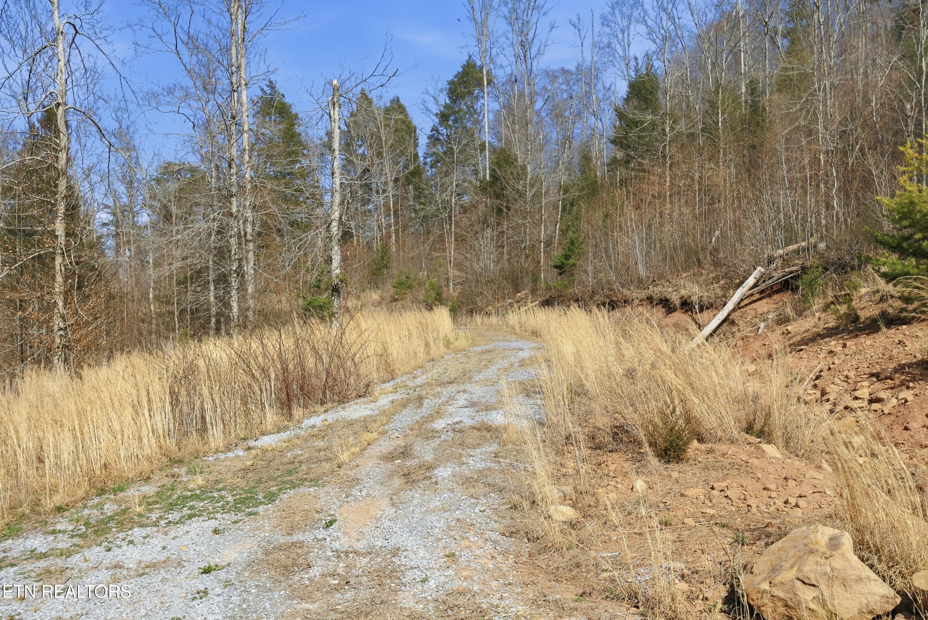 310 Early Branch Road Rogersville TN 37857