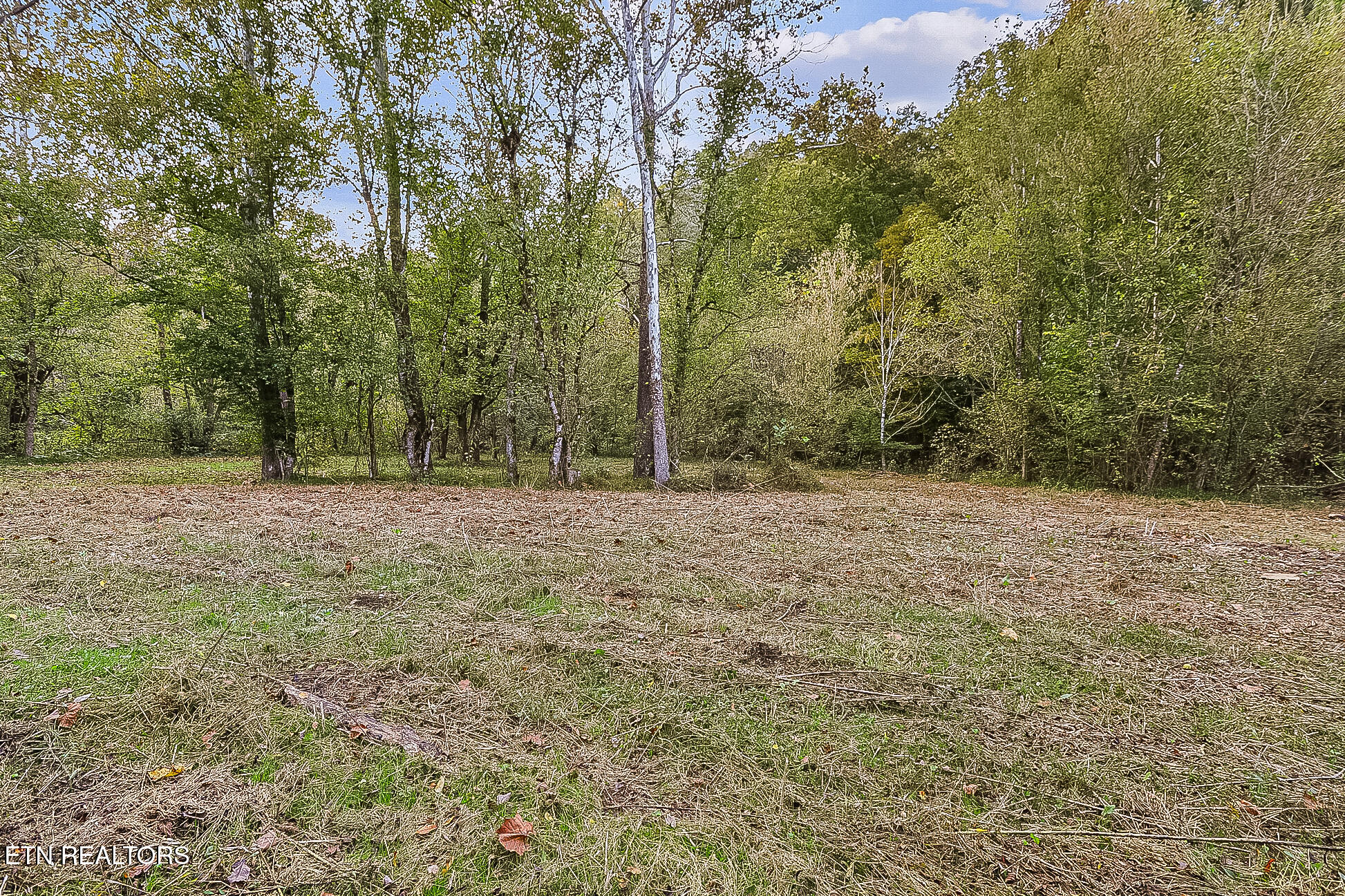 142 Lambdin Road Maynardville TN 37807