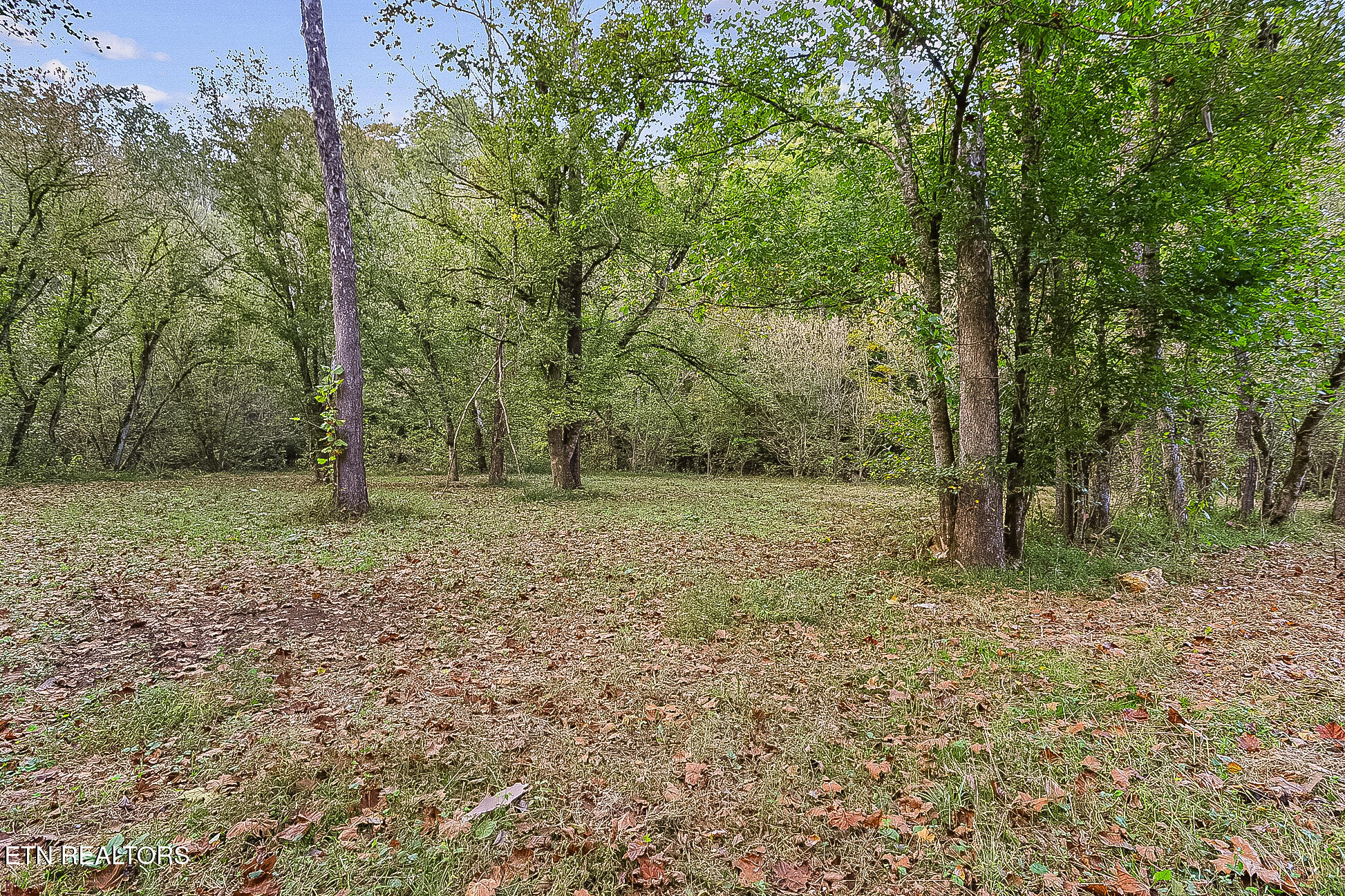 142 Lambdin Road Maynardville TN 37807