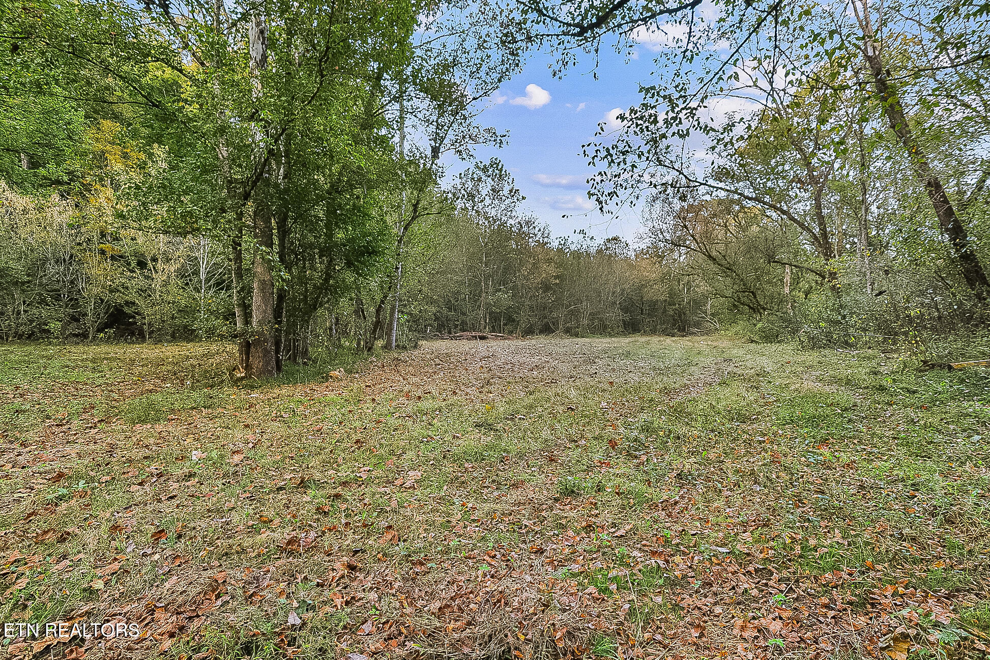 142 Lambdin Road Maynardville TN 37807