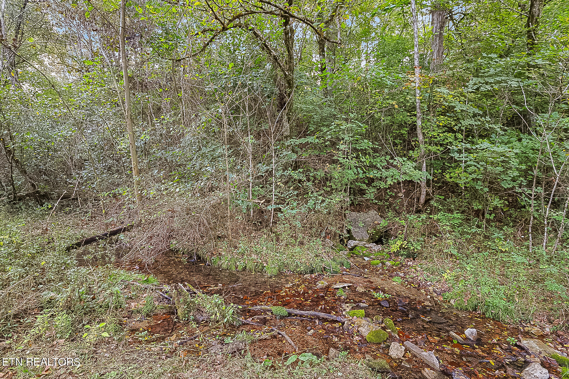 142 Lambdin Road Maynardville TN 37807
