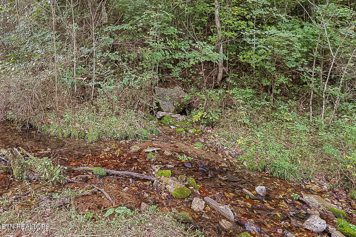142 Lambdin Road Maynardville TN 37807