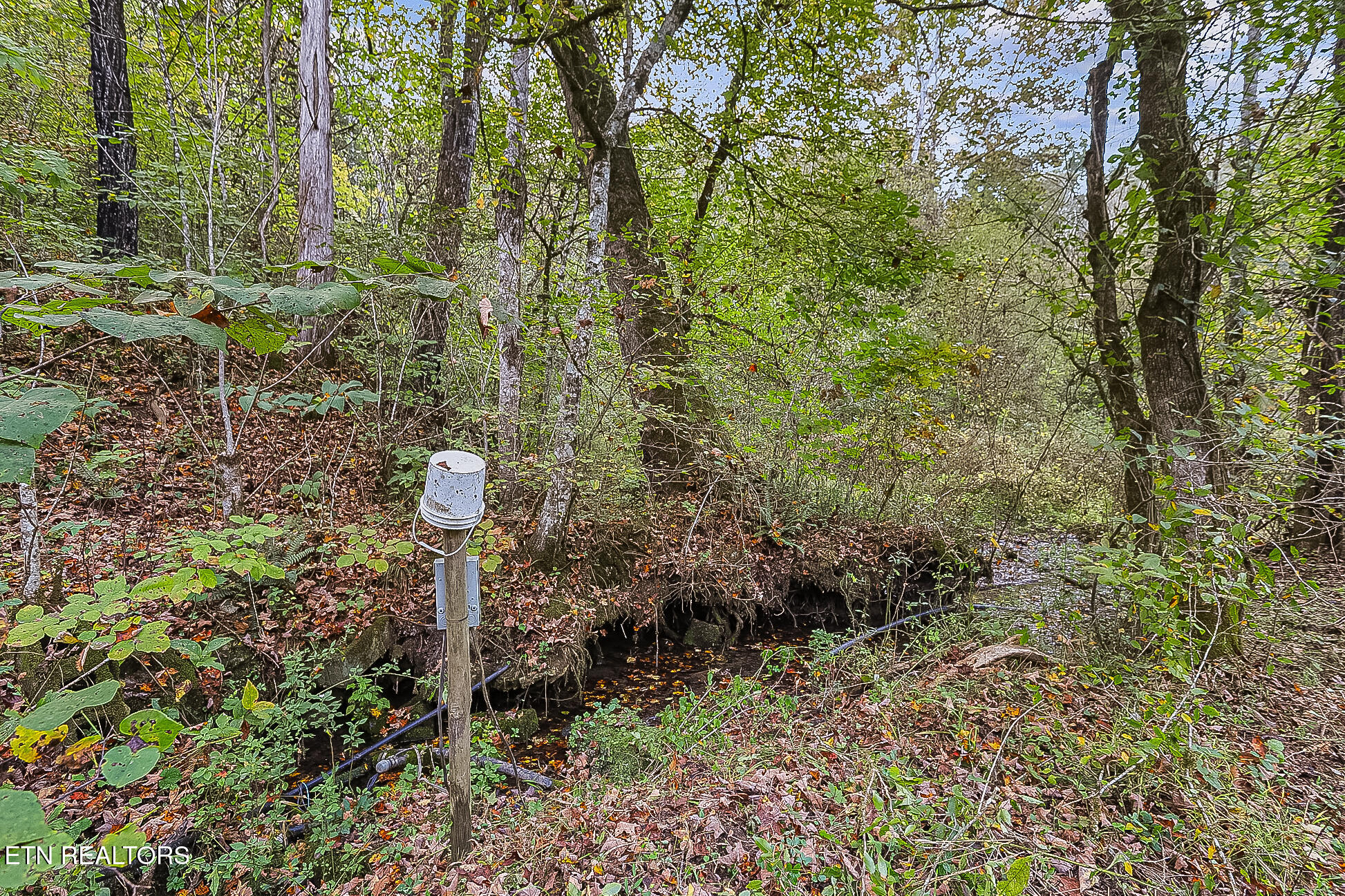 142 Lambdin Road Maynardville TN 37807
