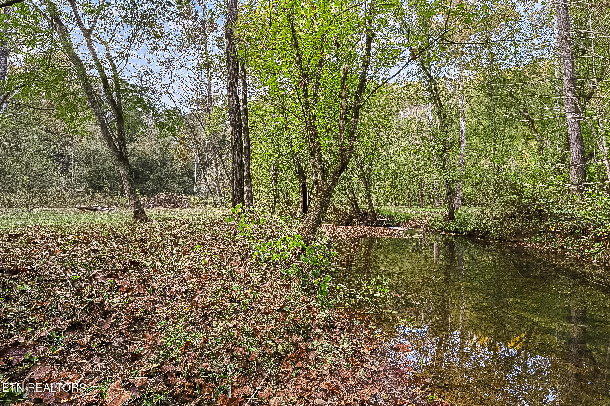 142 Lambdin Road Maynardville TN 37807