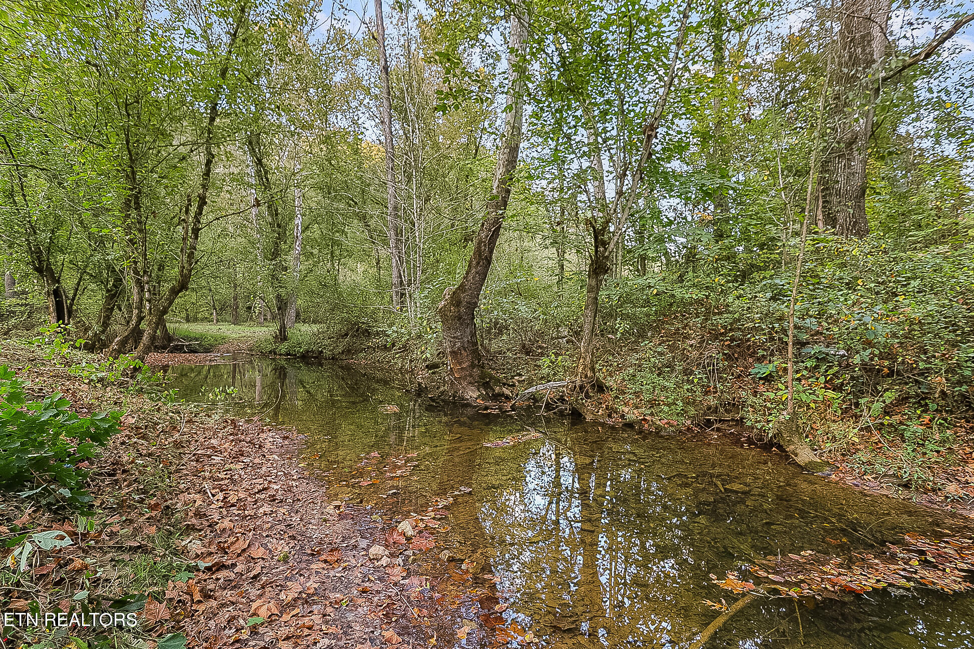 142 Lambdin Road Maynardville TN 37807