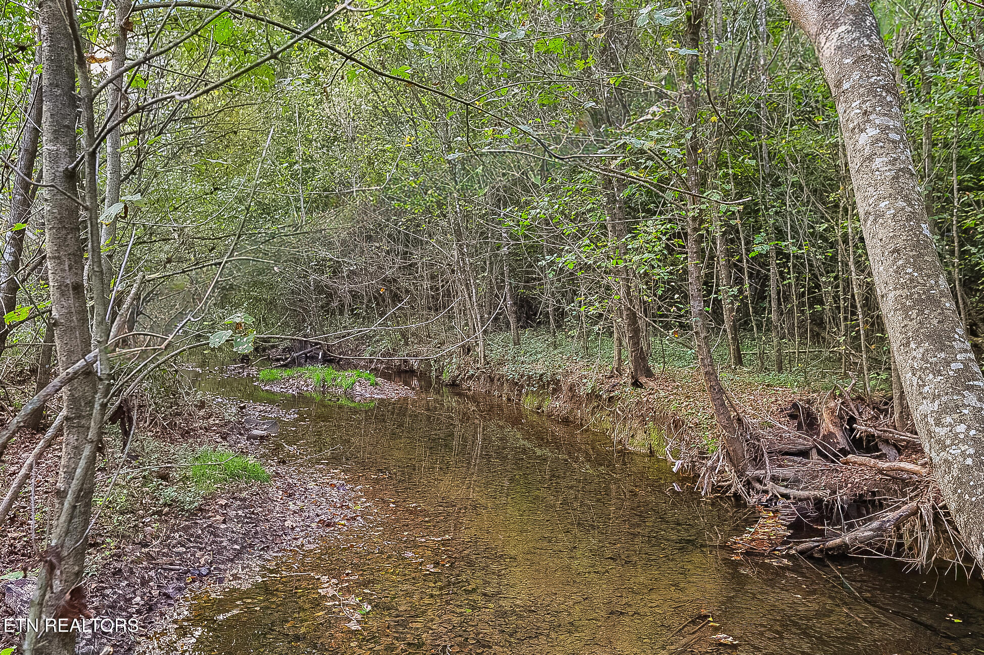 142 Lambdin Road Maynardville TN 37807