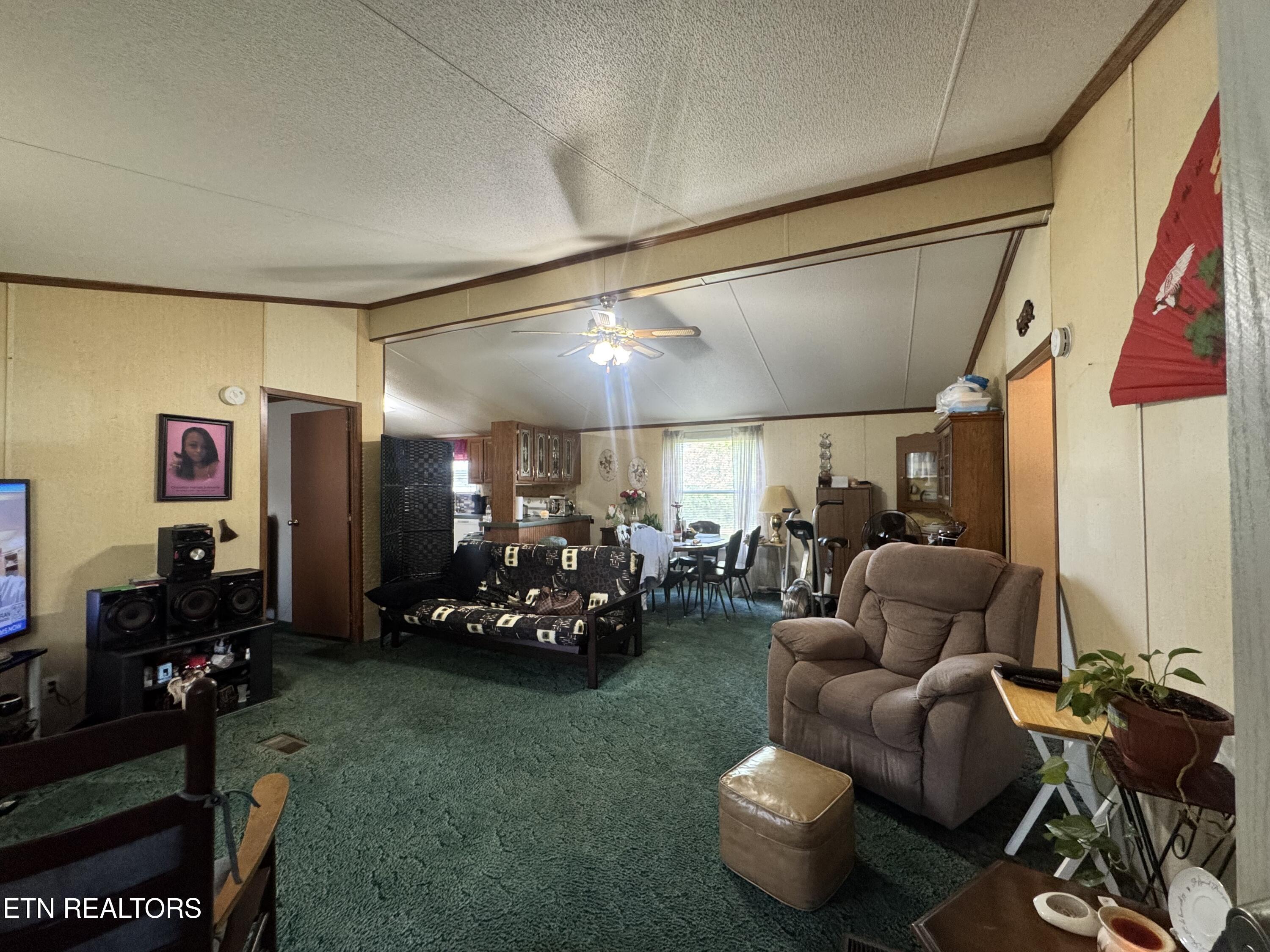 407 N Wilder Avenue Rockwood TN 37854